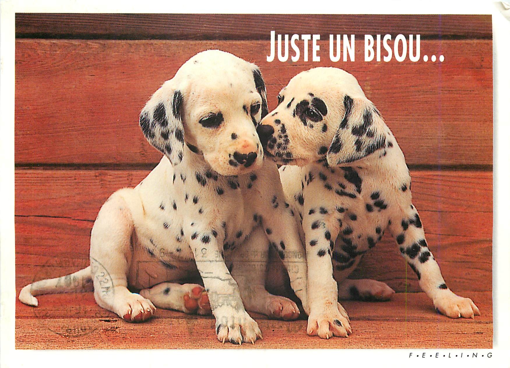 CPM Juste un Bisou 