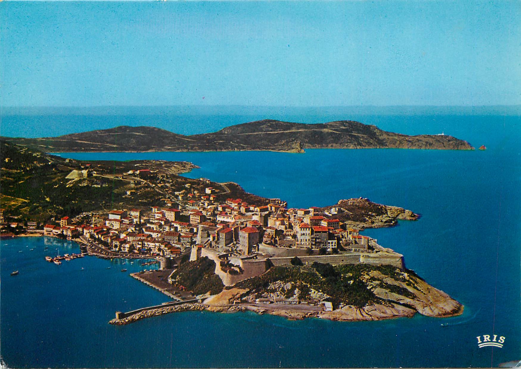 CPM Calvi Spectaculaire vue d'Ensemble 