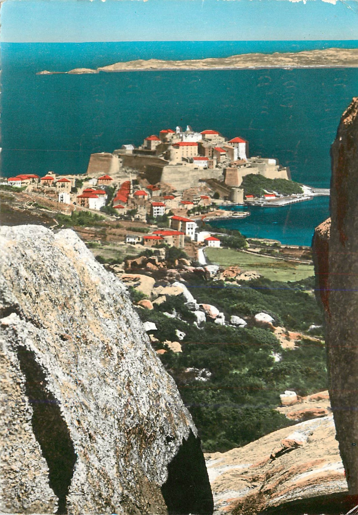 CPM La Corse Ile de Beaute Calvi vu des falaises de Recisa 