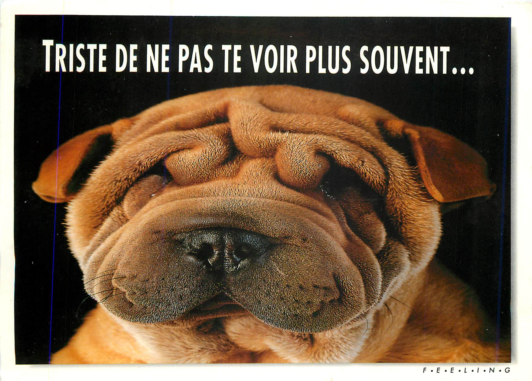 CPM Triste de ne pas te voir plus souvent 
