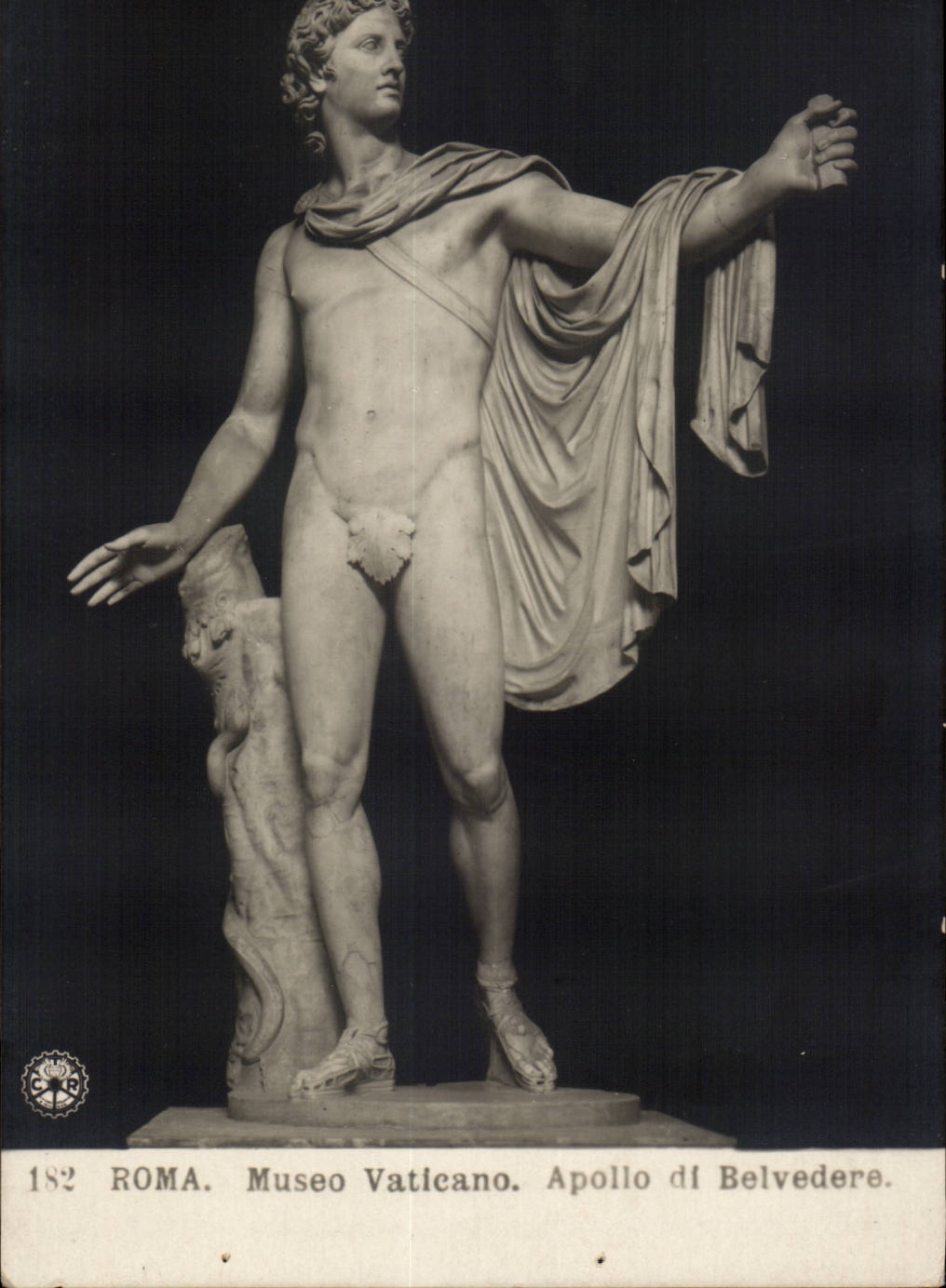 Italie - Italia - Italy - Roma - Rome - Museo Vaticano - Apollo di Belvedere - CPA