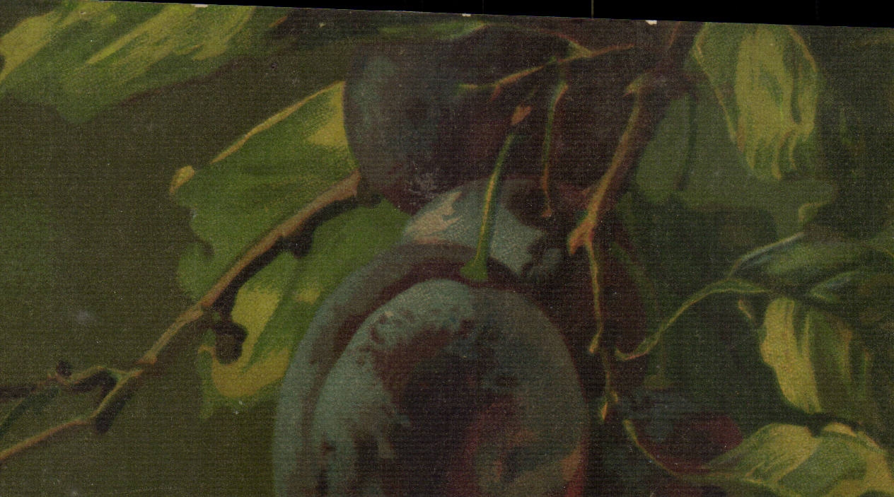 CPA noch Leben Phantasie-Pflaume