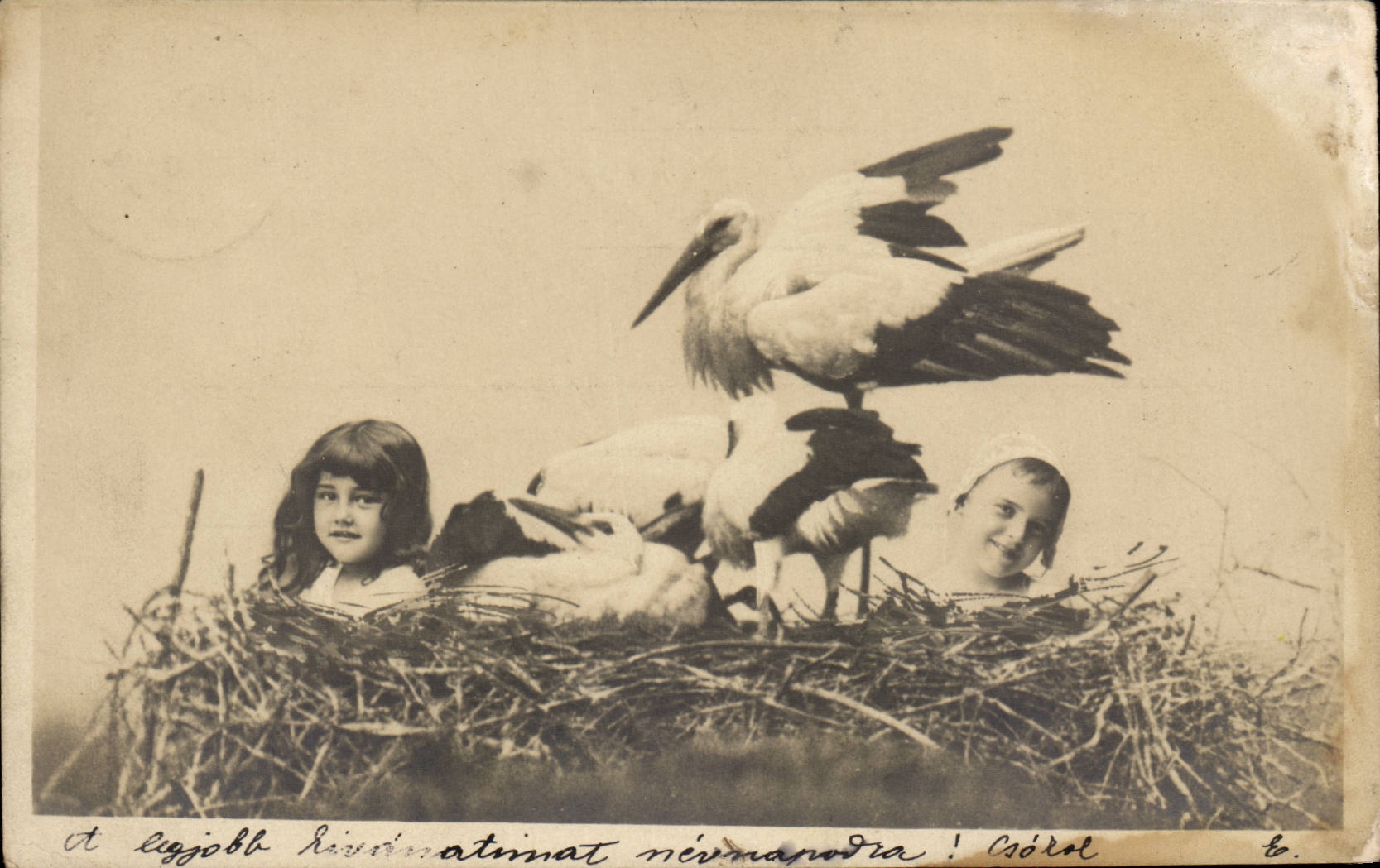 Fantasy - Child - Stork - Nest - Broad nest CPA (Hungarian chart Hungary Hungary)