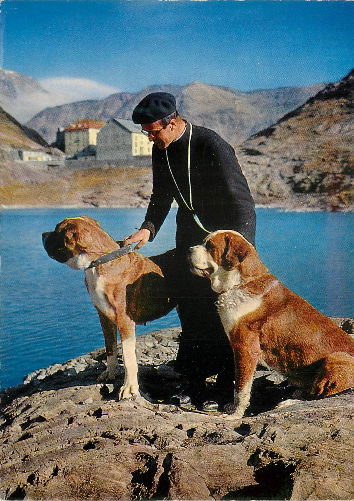 CPM Hospice du Grand Saint Bernard Religieux et ses chiens 