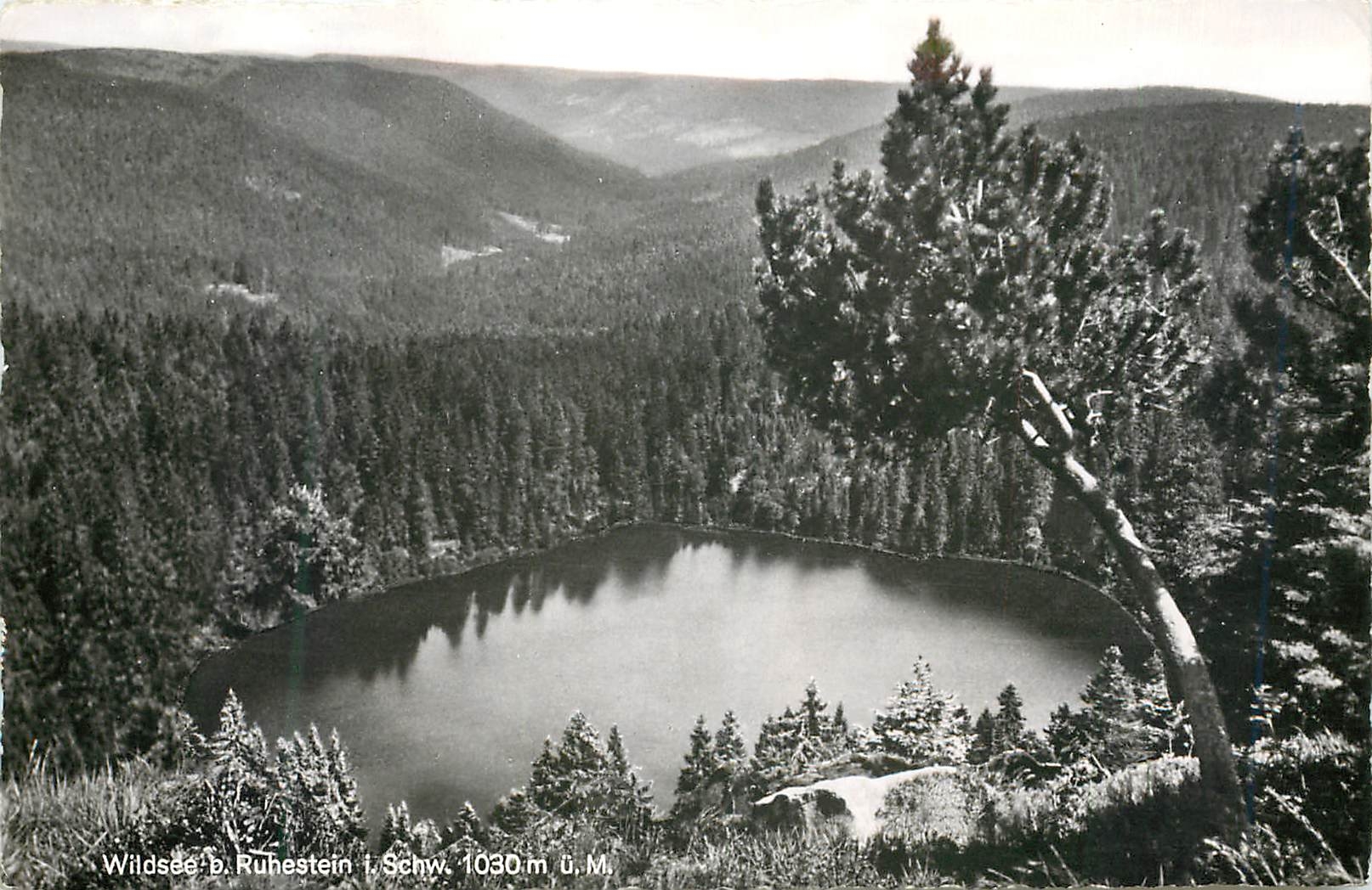 CPM Wildsee b Ruhestein i Schw 
