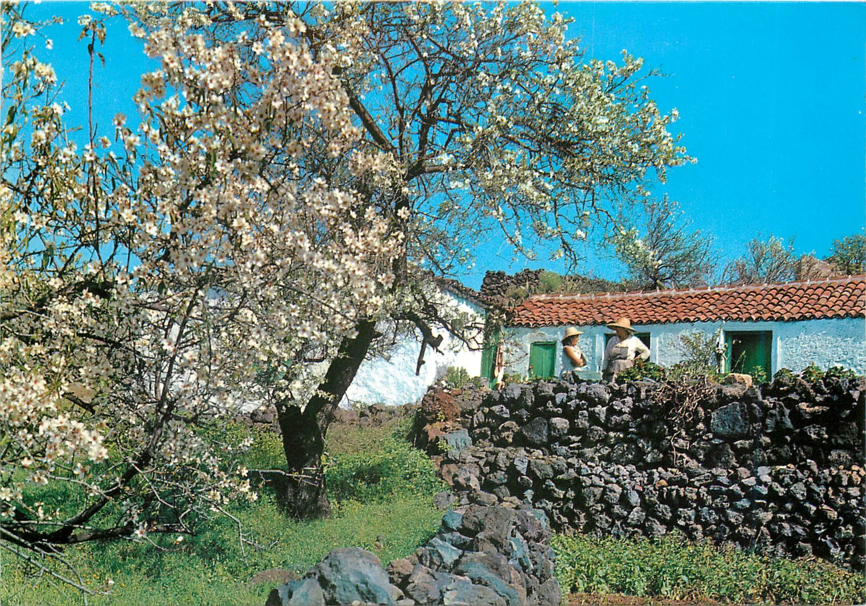 CPM Santiago del teife Rincon Tipico