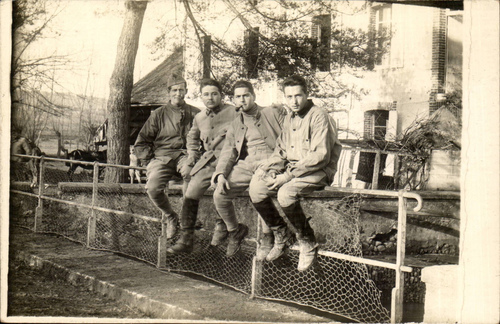 CPA Real photo Sports Horsemanship Horses