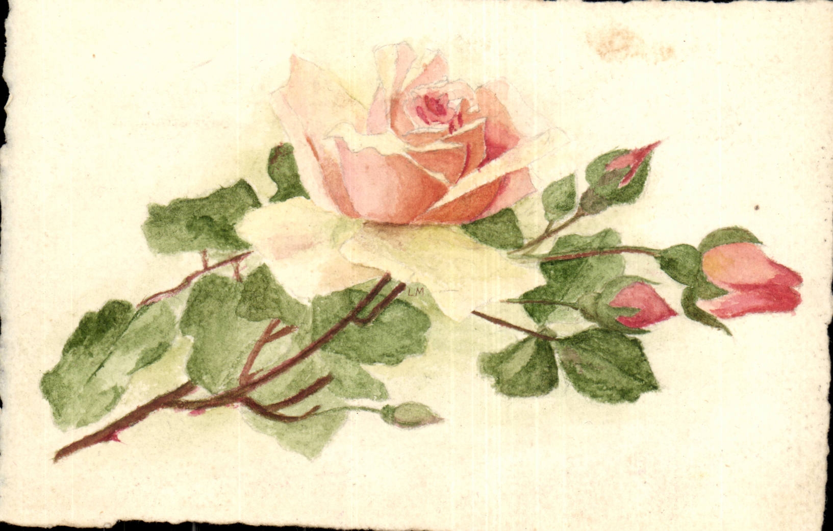 Phantasie CPA bluht Rosen