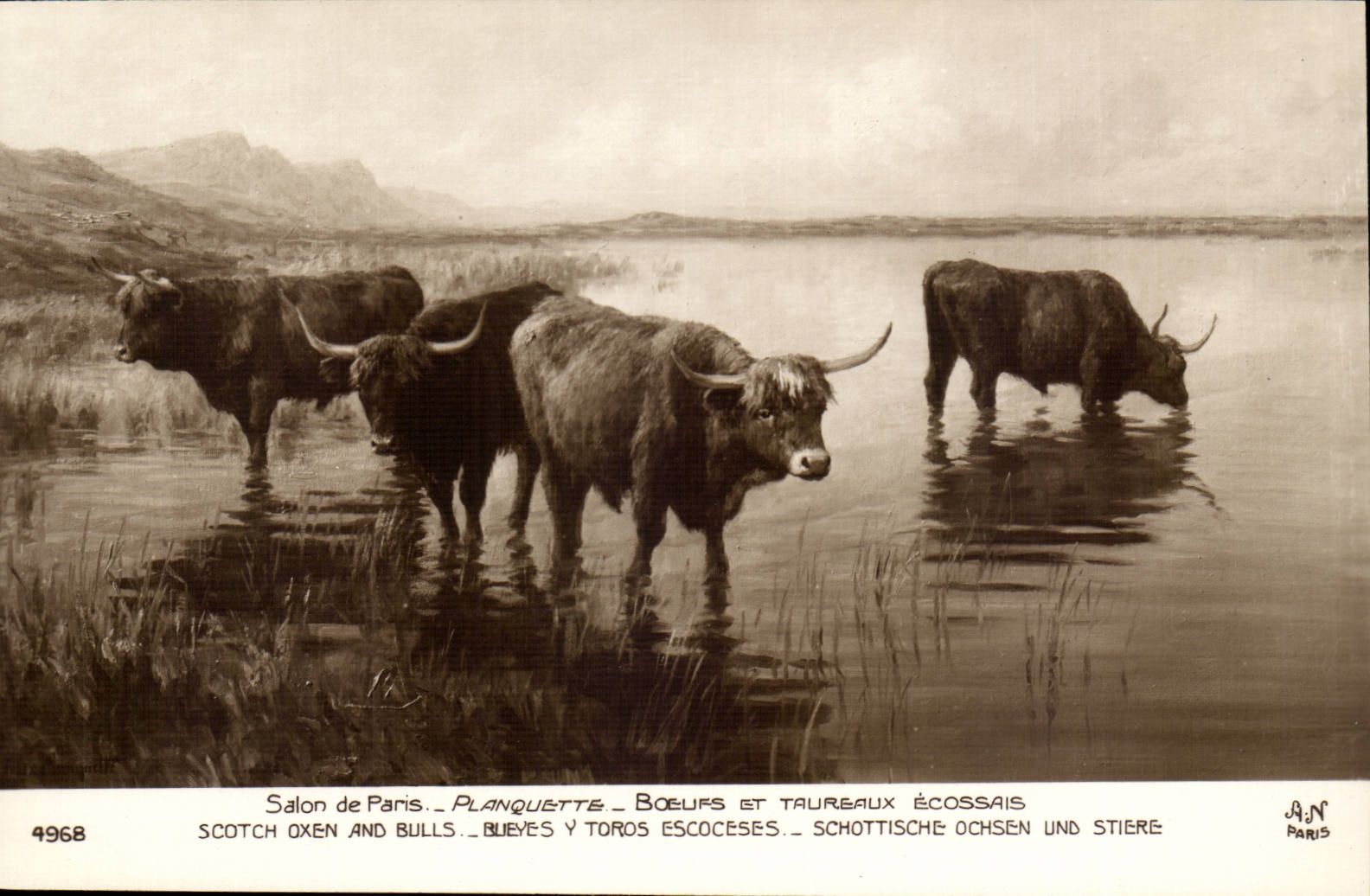 Fantasy CPA Living room of Paris Planquette Oxen and taureux Scottish (scottish cows Scotland)