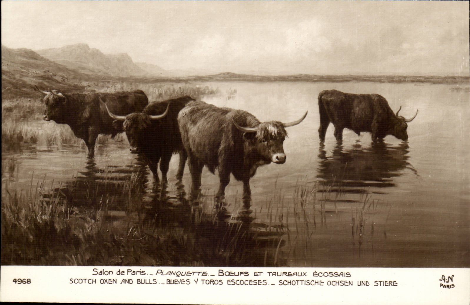 Fantasy CPA Planquette Oxen and bulls Scot (bulldozers)