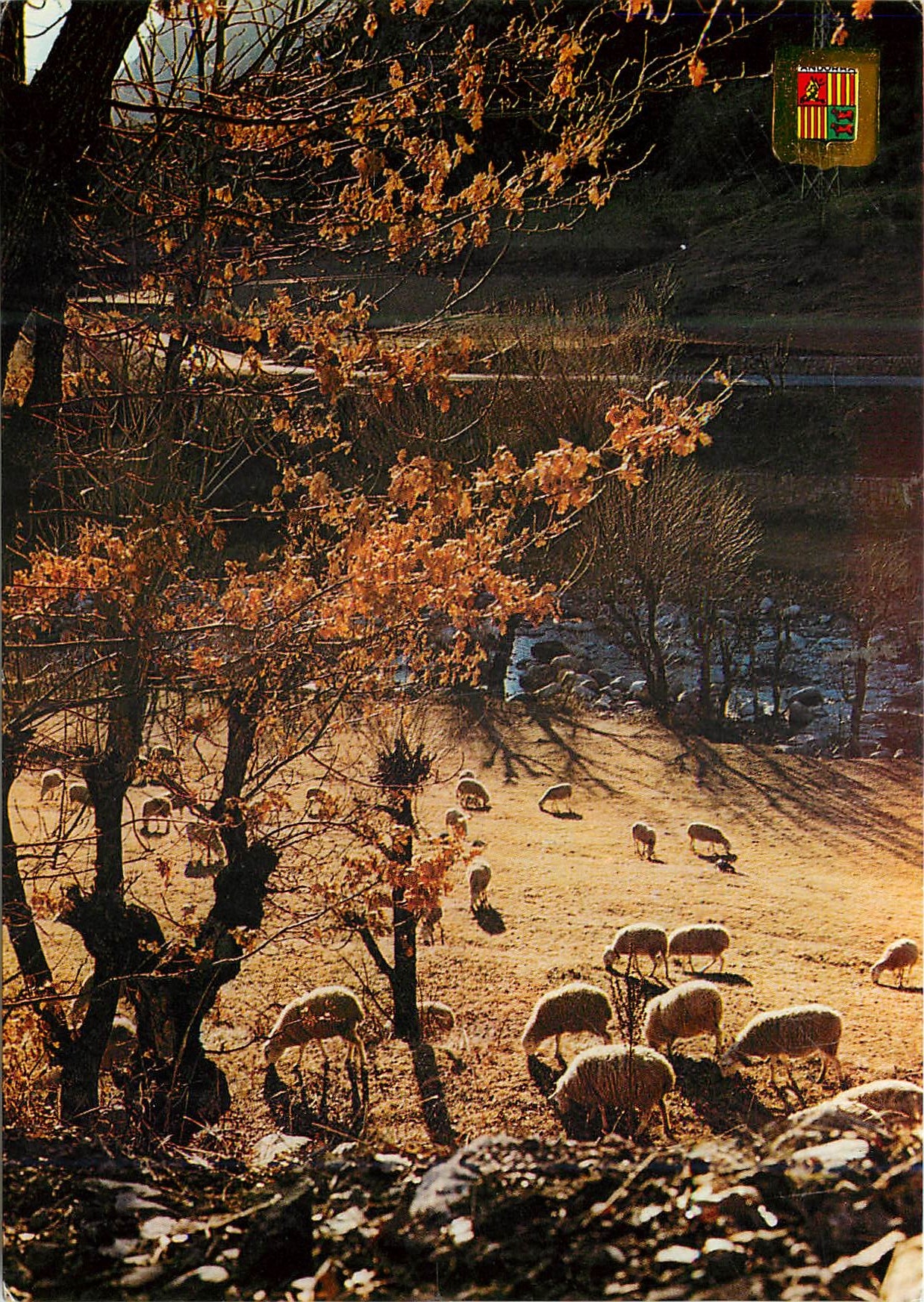 CPM Andorra Valls d'Andorra Paysage