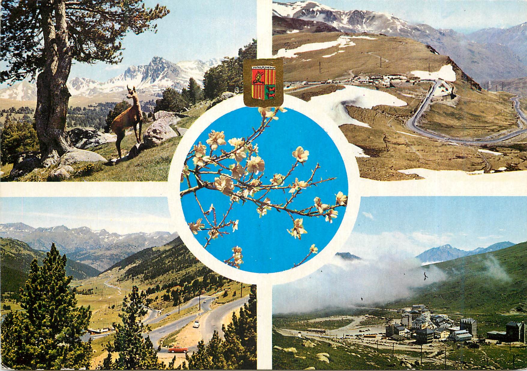 CPM Andorra Valls d'Andorra Bonice aspectes