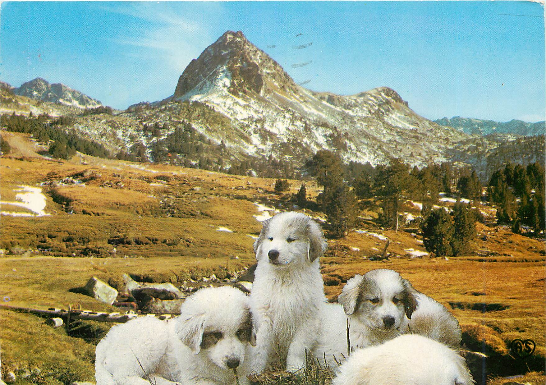 CPM Andorra Valls d'Andorra Paysage de montagne au cirque des Pessons