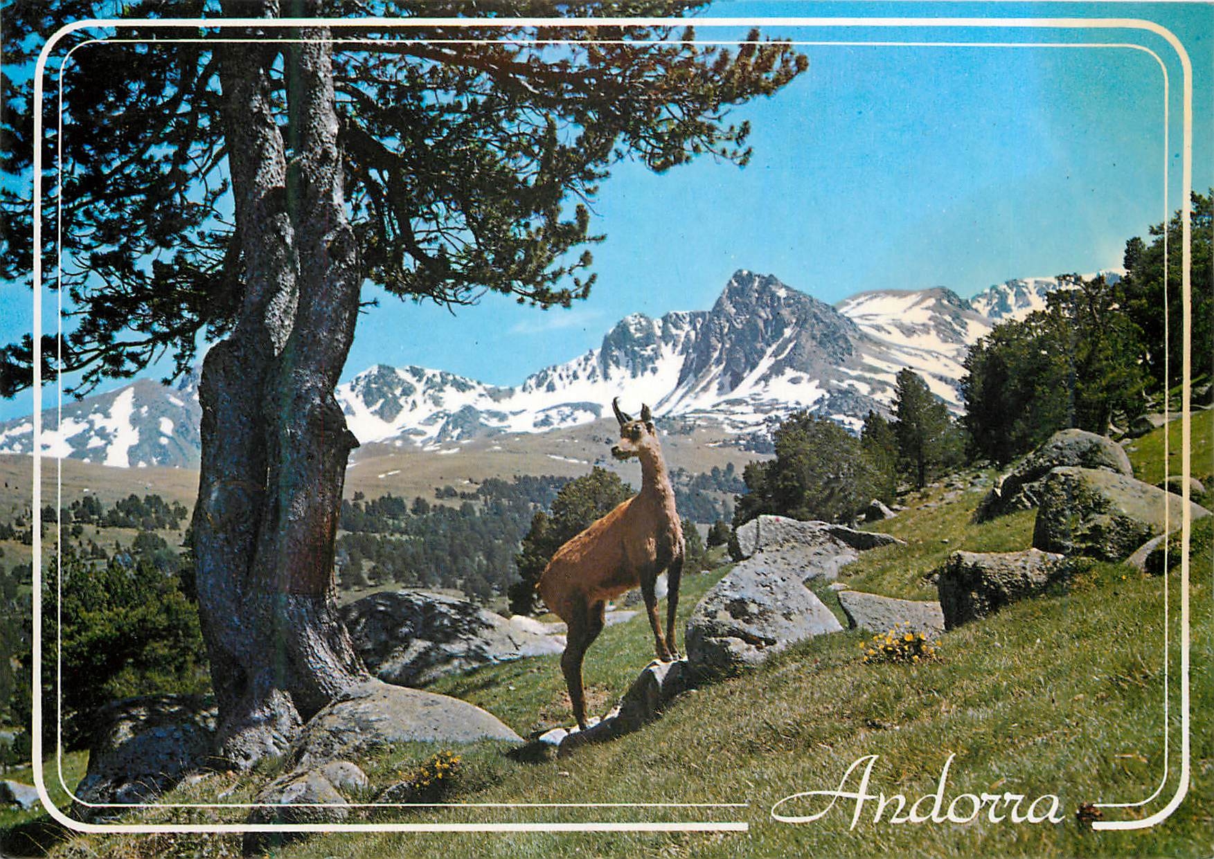 CPM Andorra Valls d'Andorra Vall d'Envalira