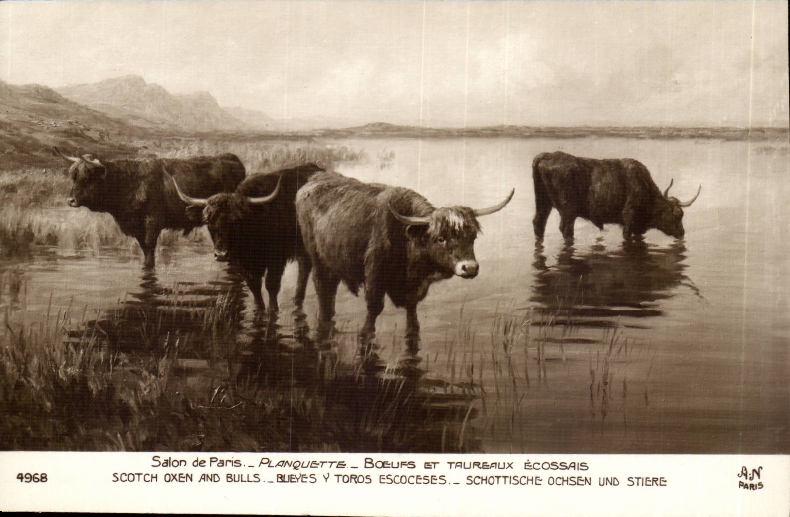 Fantasy CPA Living room of Paris Oxen and bulls Scot