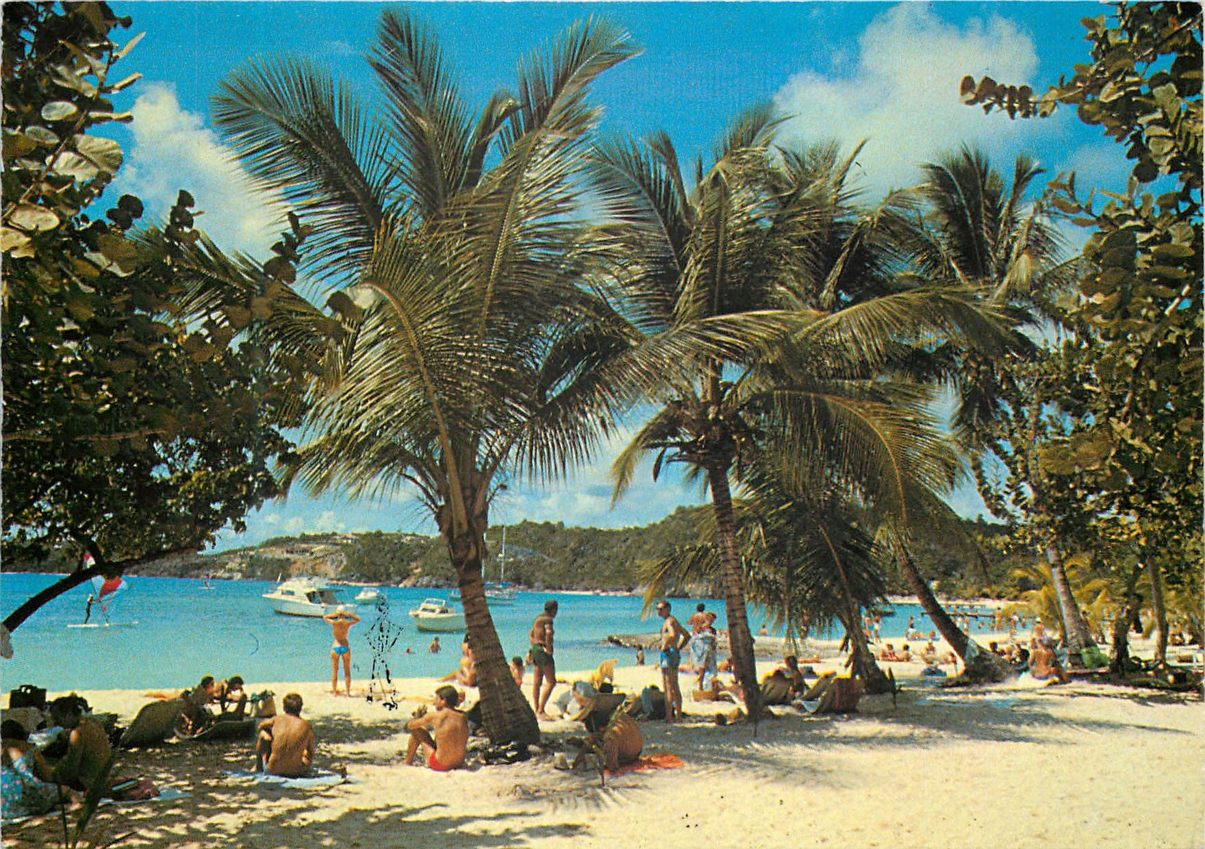 CPM Saint Barthelemy Sous les cocotiers
