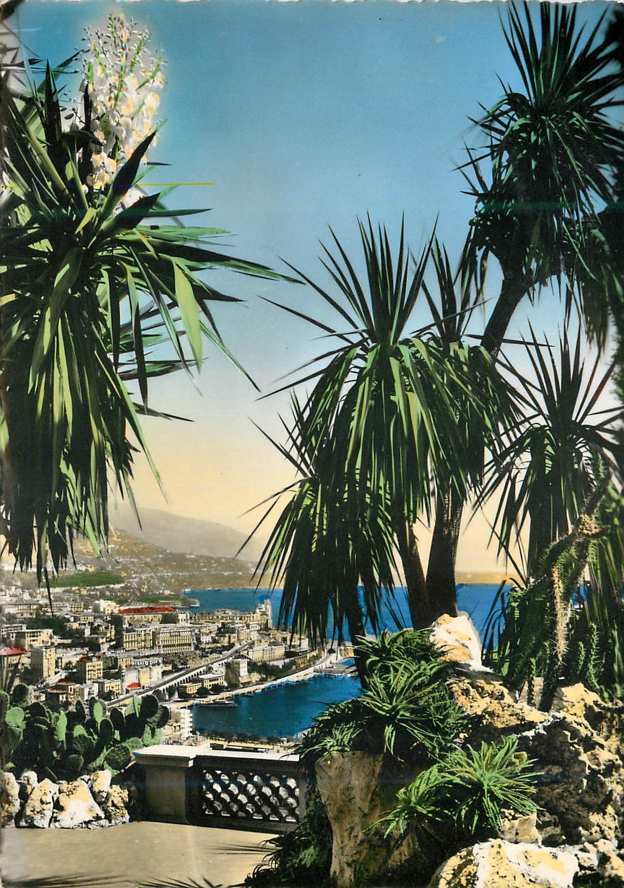 CPM LA COTE D'AZUR - MONTE-CARLO Vue prise à travers les plantes exotiques