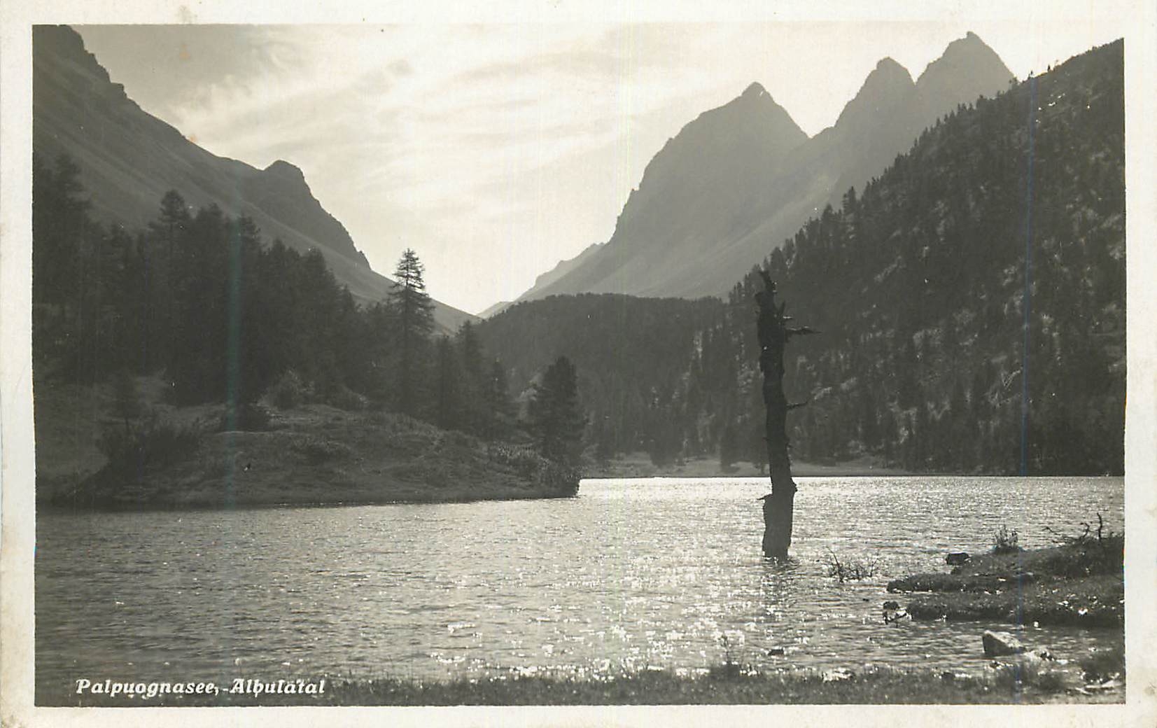 CPA Palpuogranasee Albulatal 