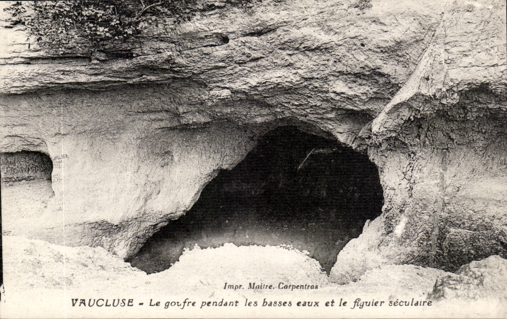 Vaucluse CPA the pit during low waters and the secular fig tree