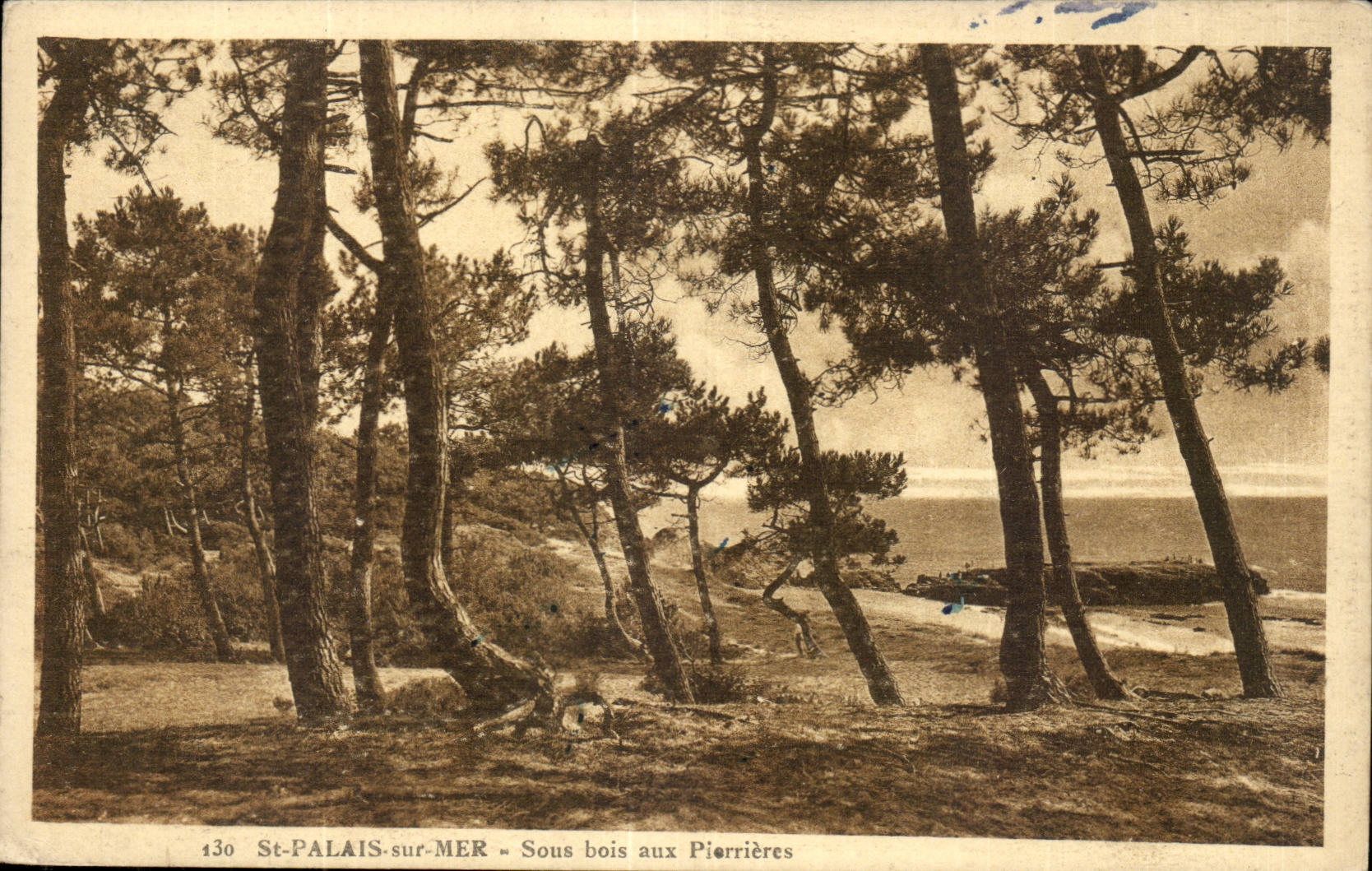 SAnt Gaumen auf Meer CPA unter Holz in Pierrieres