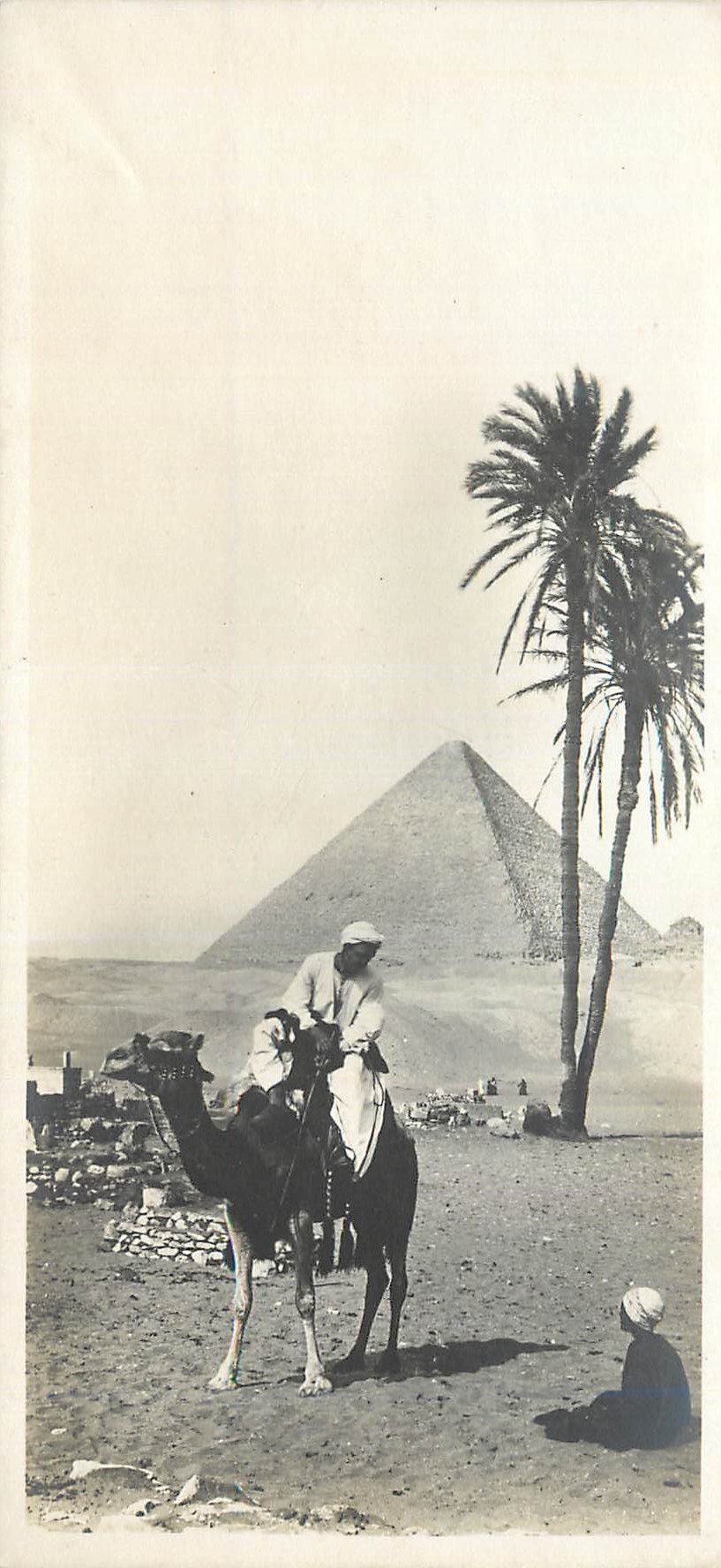 CPA Egypte La Pyramide de Cheops