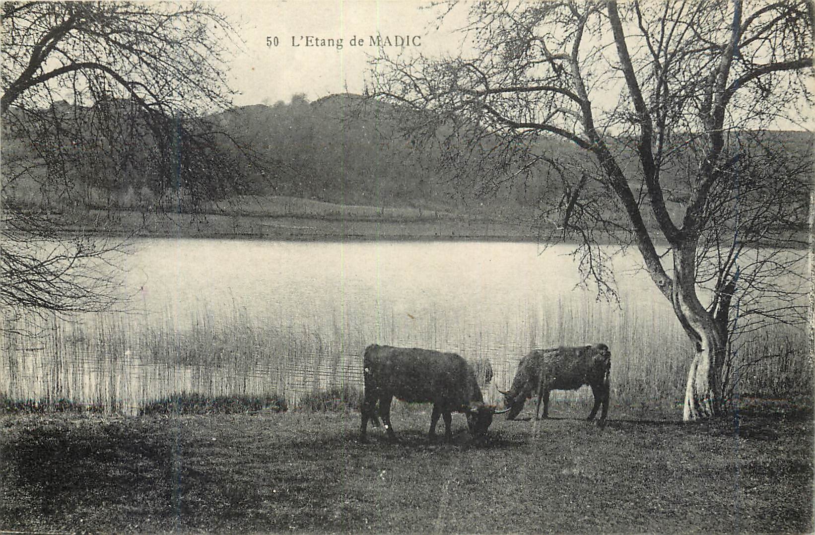CPA L Etang de Madic Vaches