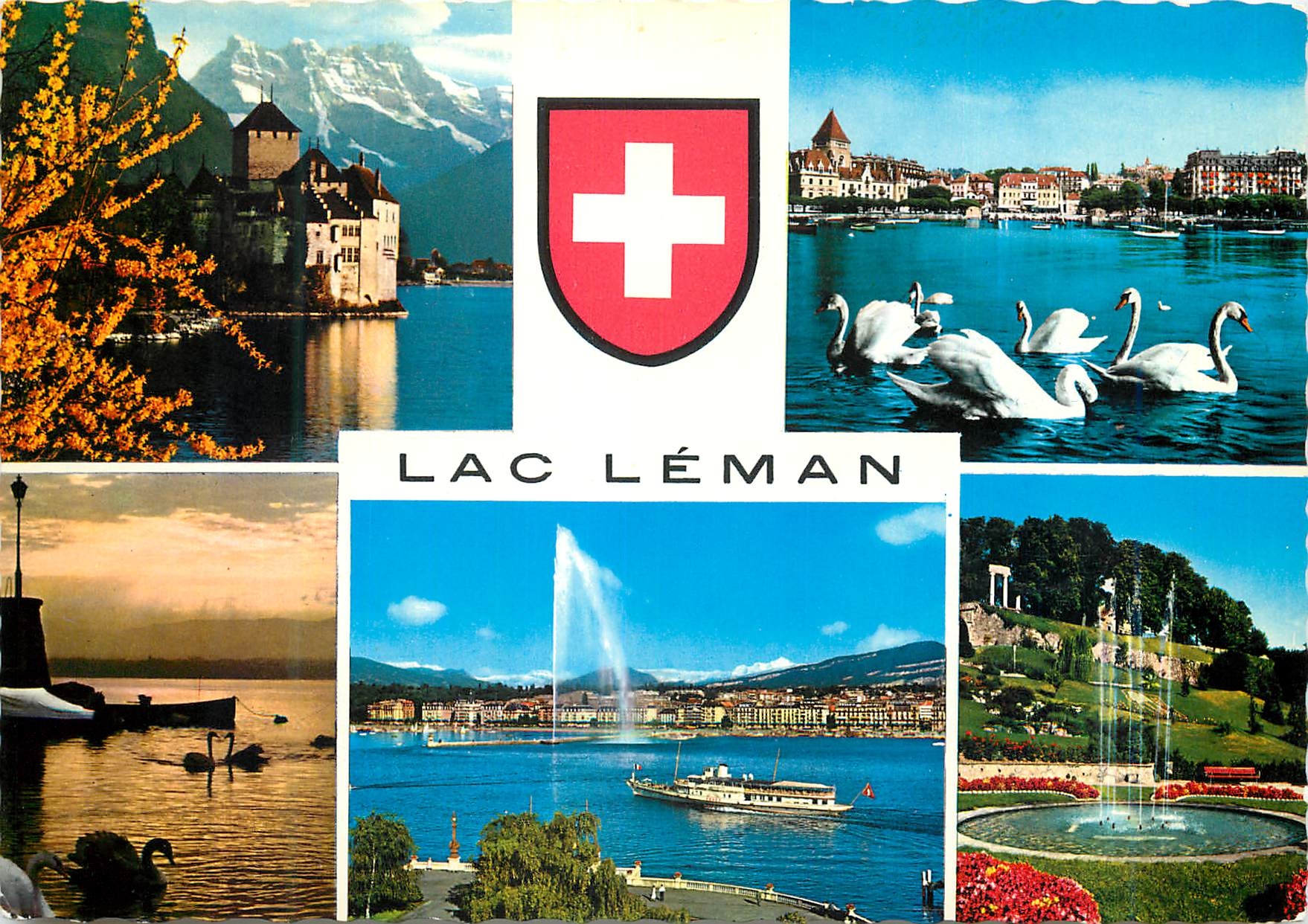 CPM Lac Leman chateau de chillon et les dents du midi
