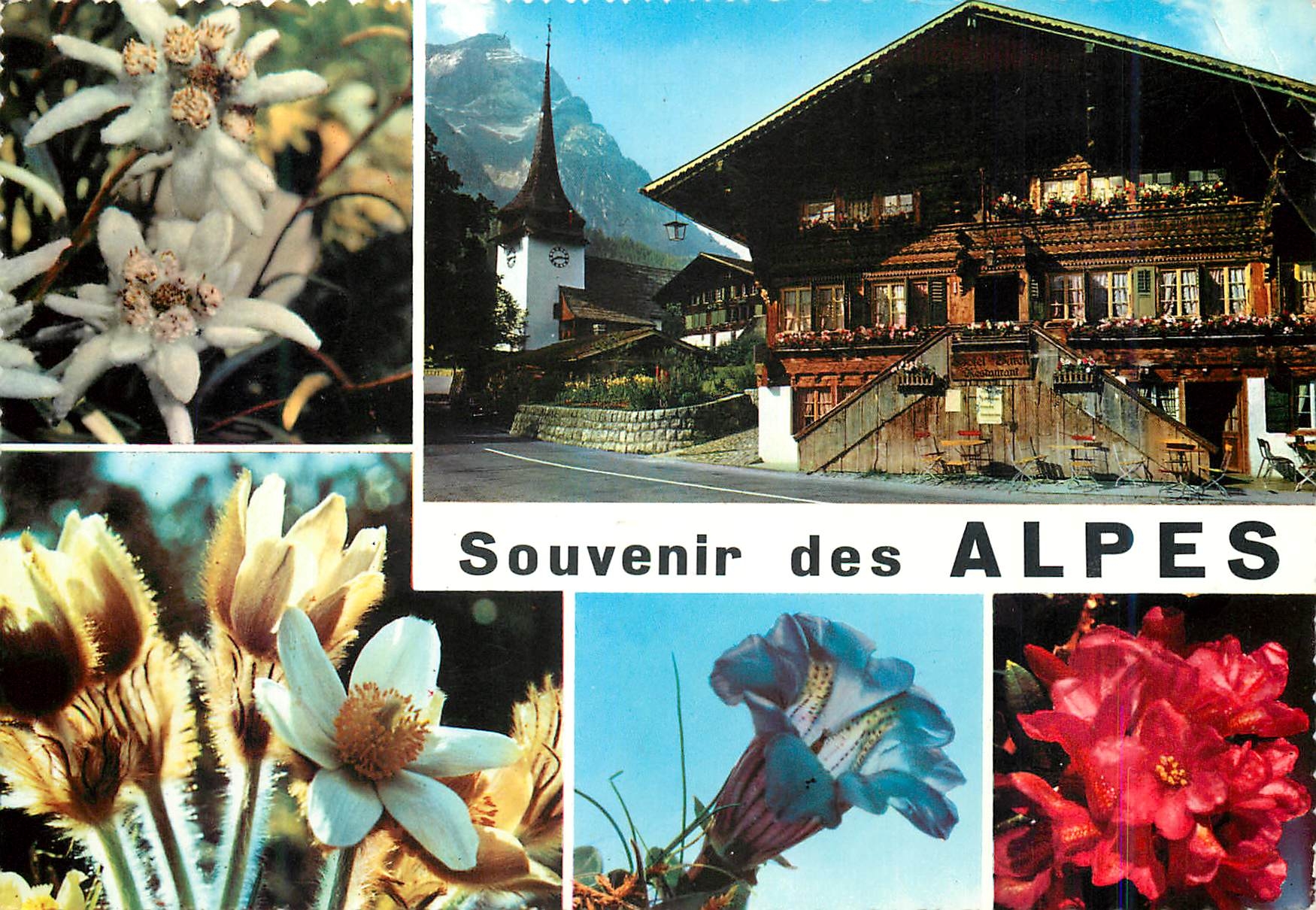 CPM Alpes souvenir