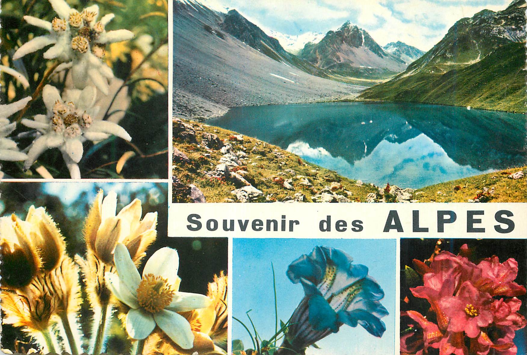 CPM Alpes souvenir