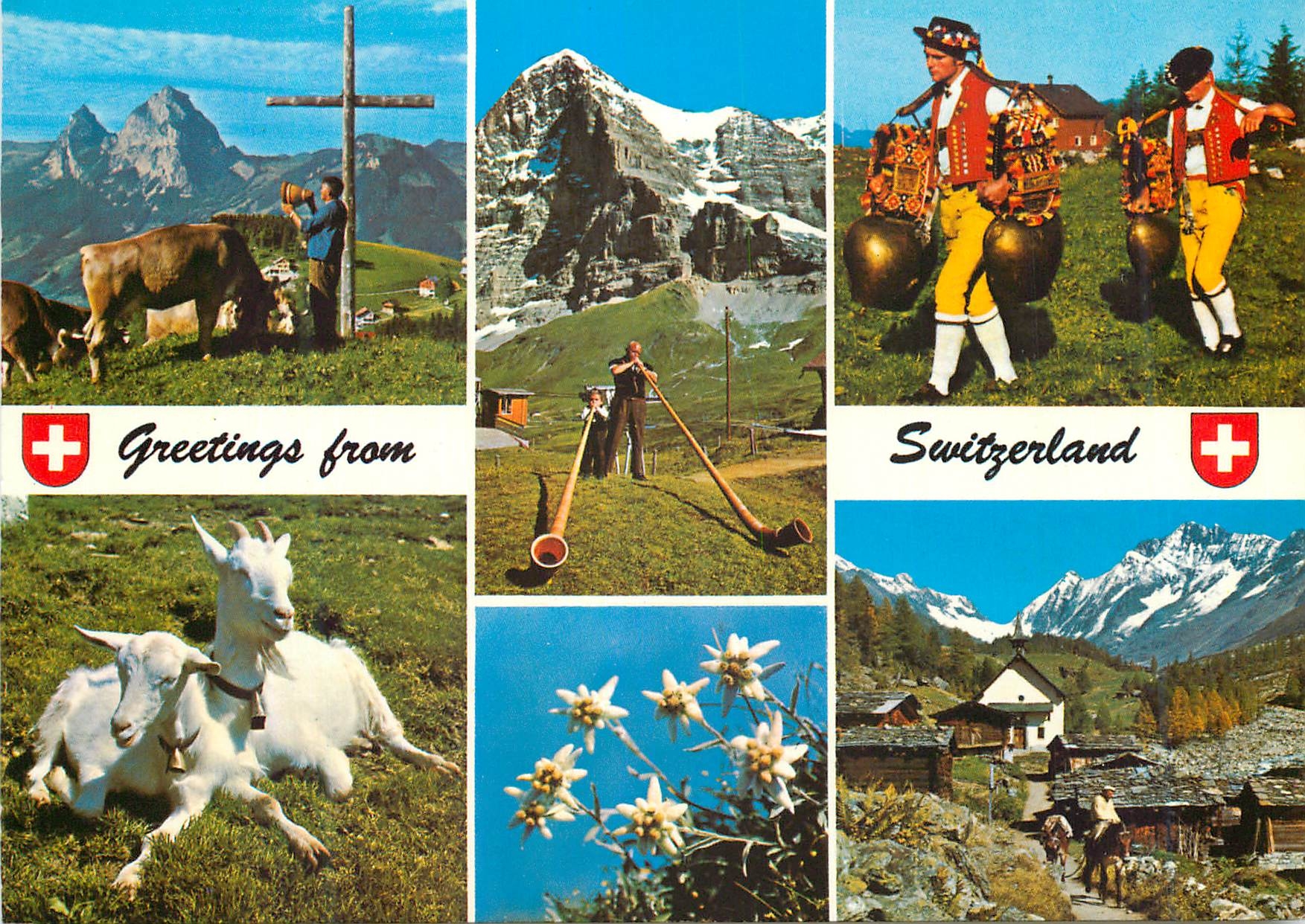 CPM Lac Leman chateau de chillon geneve le jet d'eau yvoire cite mediavale (XIVe s) evian le casino Thonon le belvedere