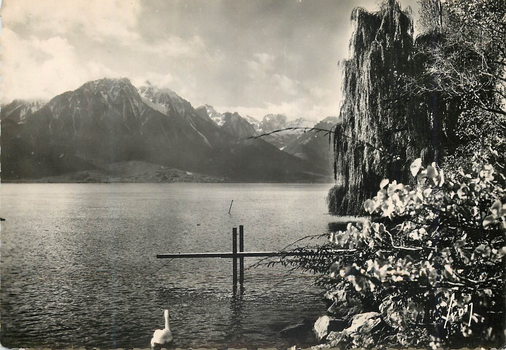 CPM Environs de Montreux (Suisse) le lac Leman et les alpes de Savoie