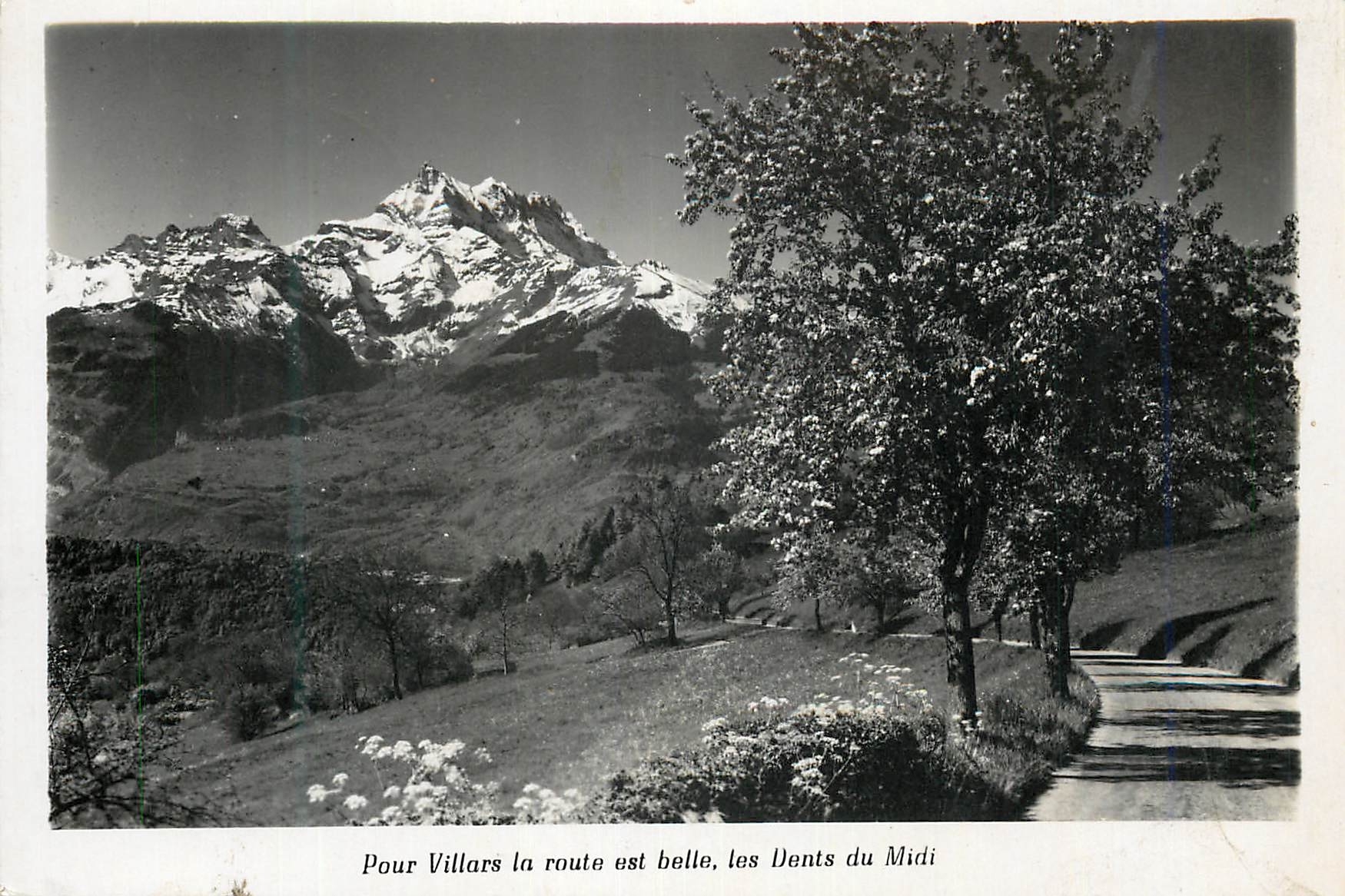 CPM Pour Villars la route est belle les Vents du Midi