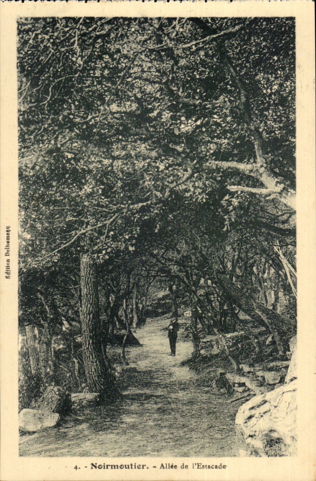 Noirmoutier CPA Allee de l'estacade