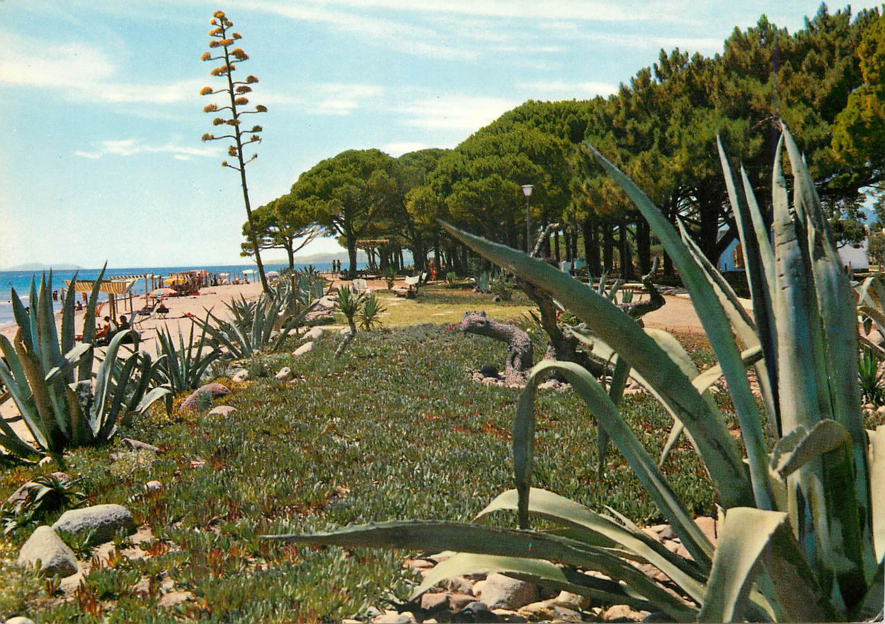 CPM Cambrils Tarragona Plage de Vilafortuny