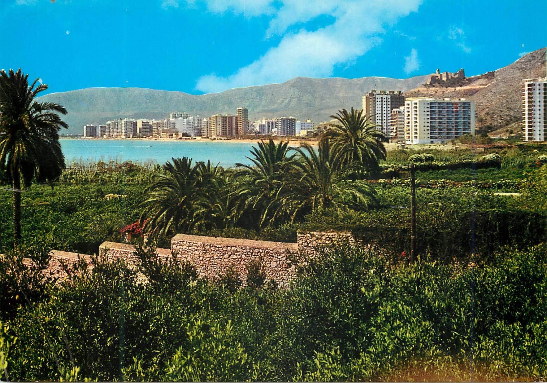 CPM Cullera (Valencia) Haco y San Antonio