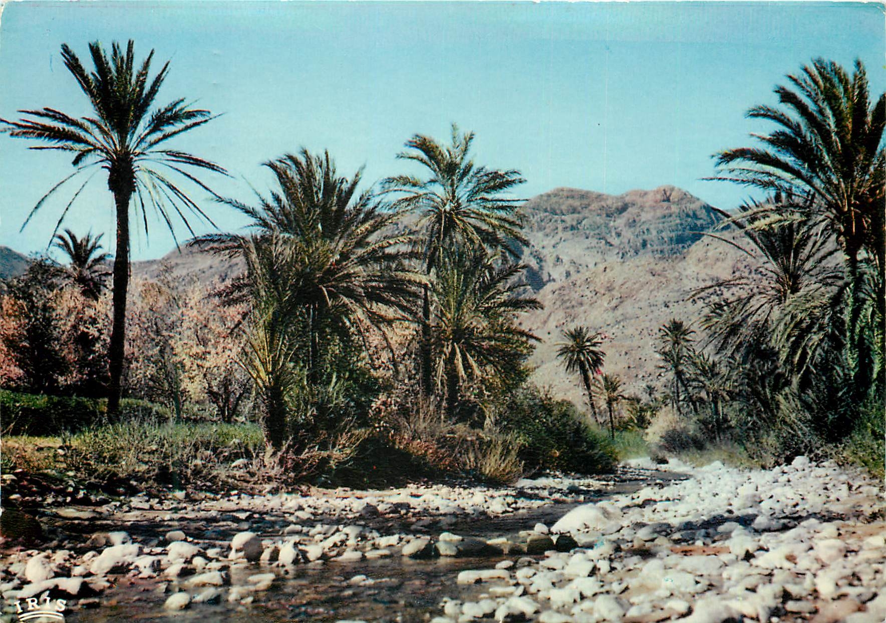 CPM Tafraout La Vallee des Ammein 