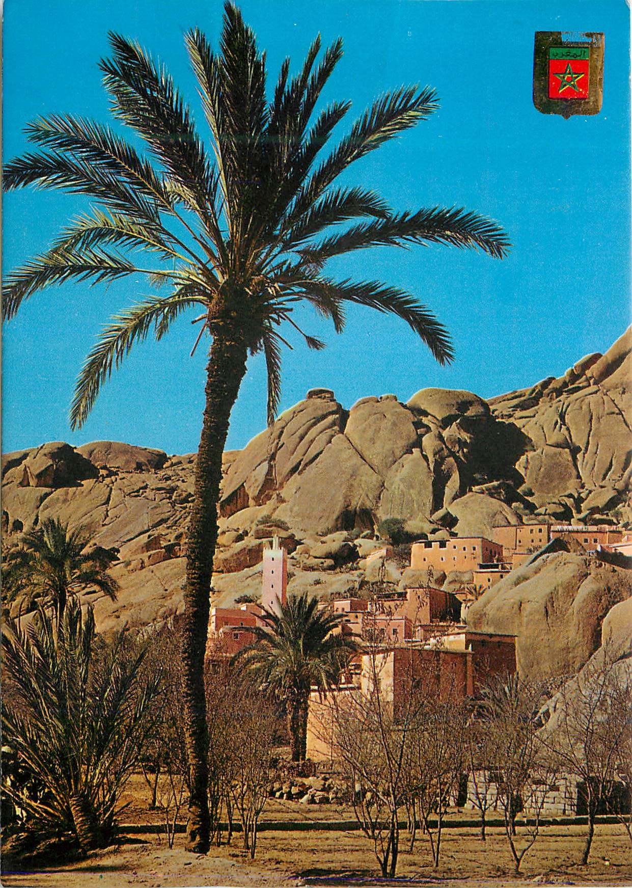 CPM Tafraout Vue panoramique 