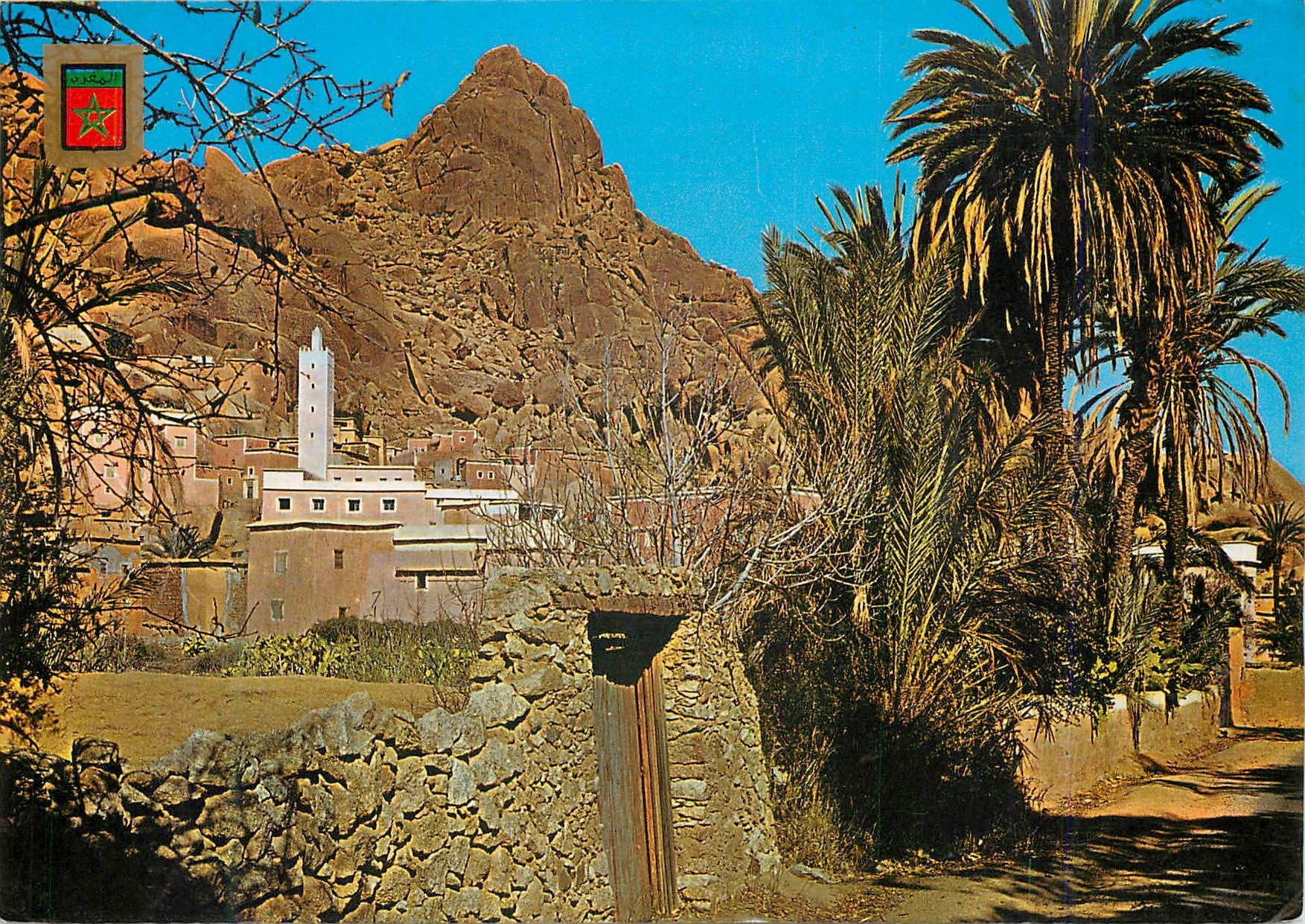 CPM Tafraout Vue panoramique 