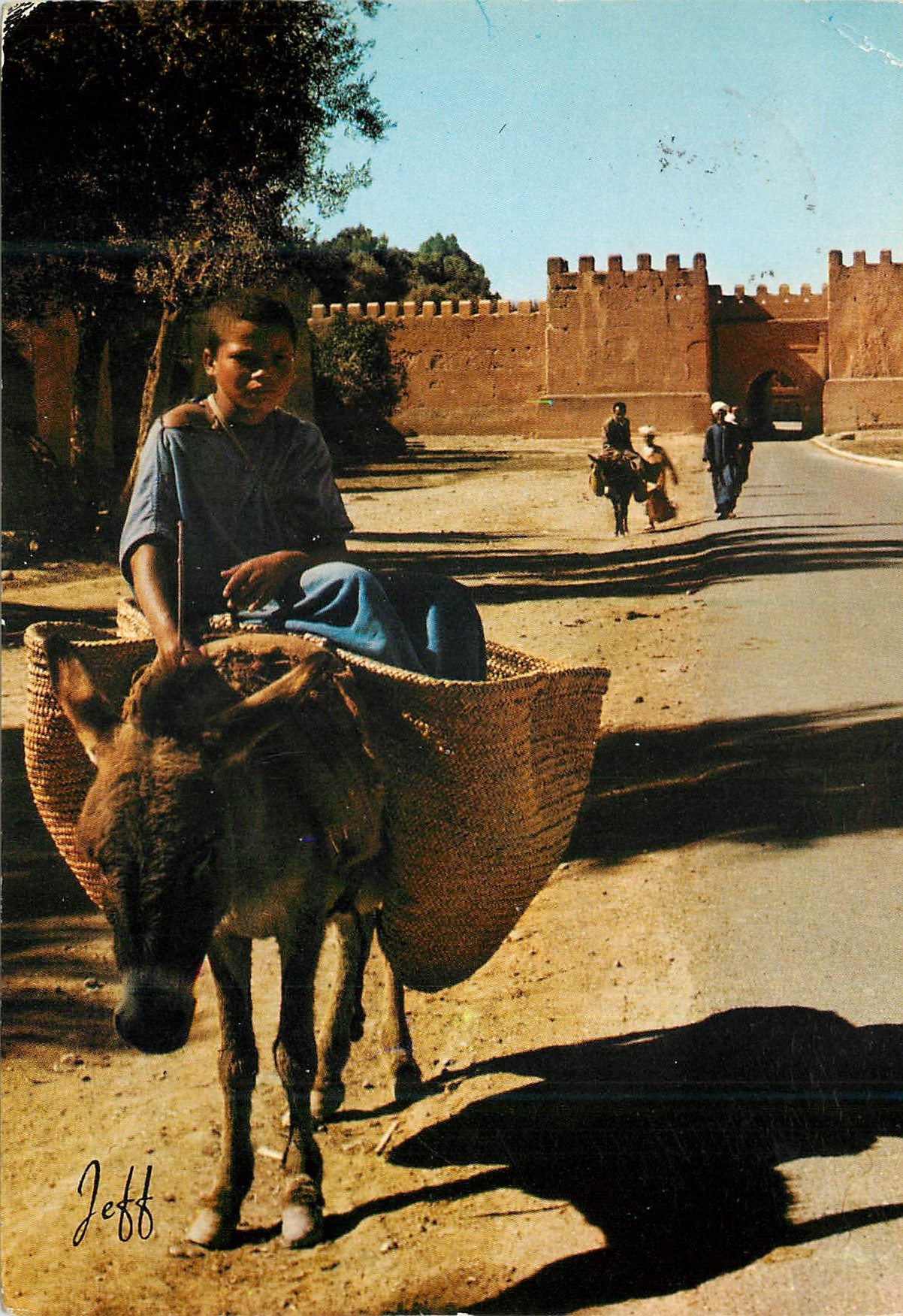 CPM Remparts de Taroudant Ane Donley