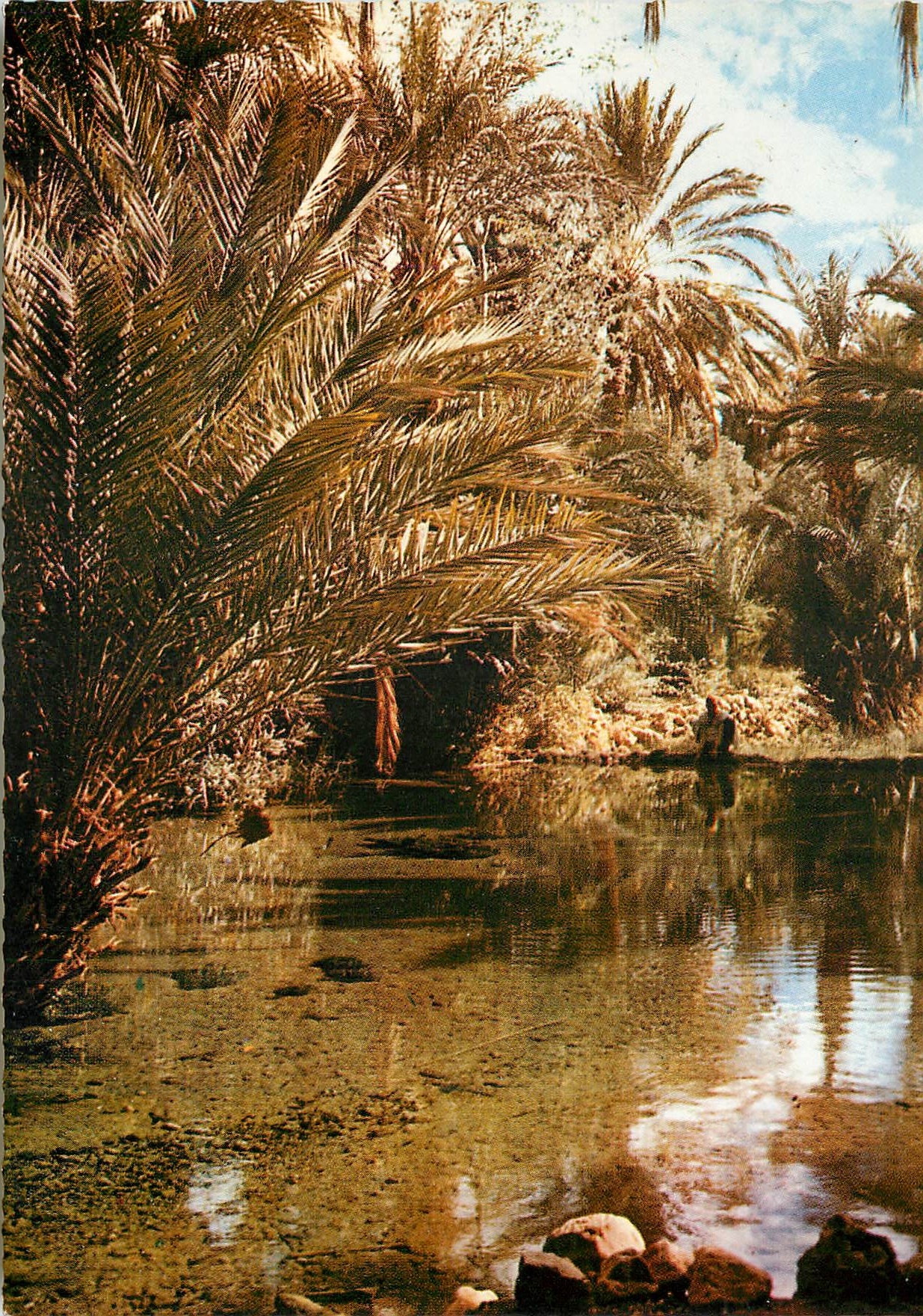 CPM Le Maroc Pittoresque Tinerhir 