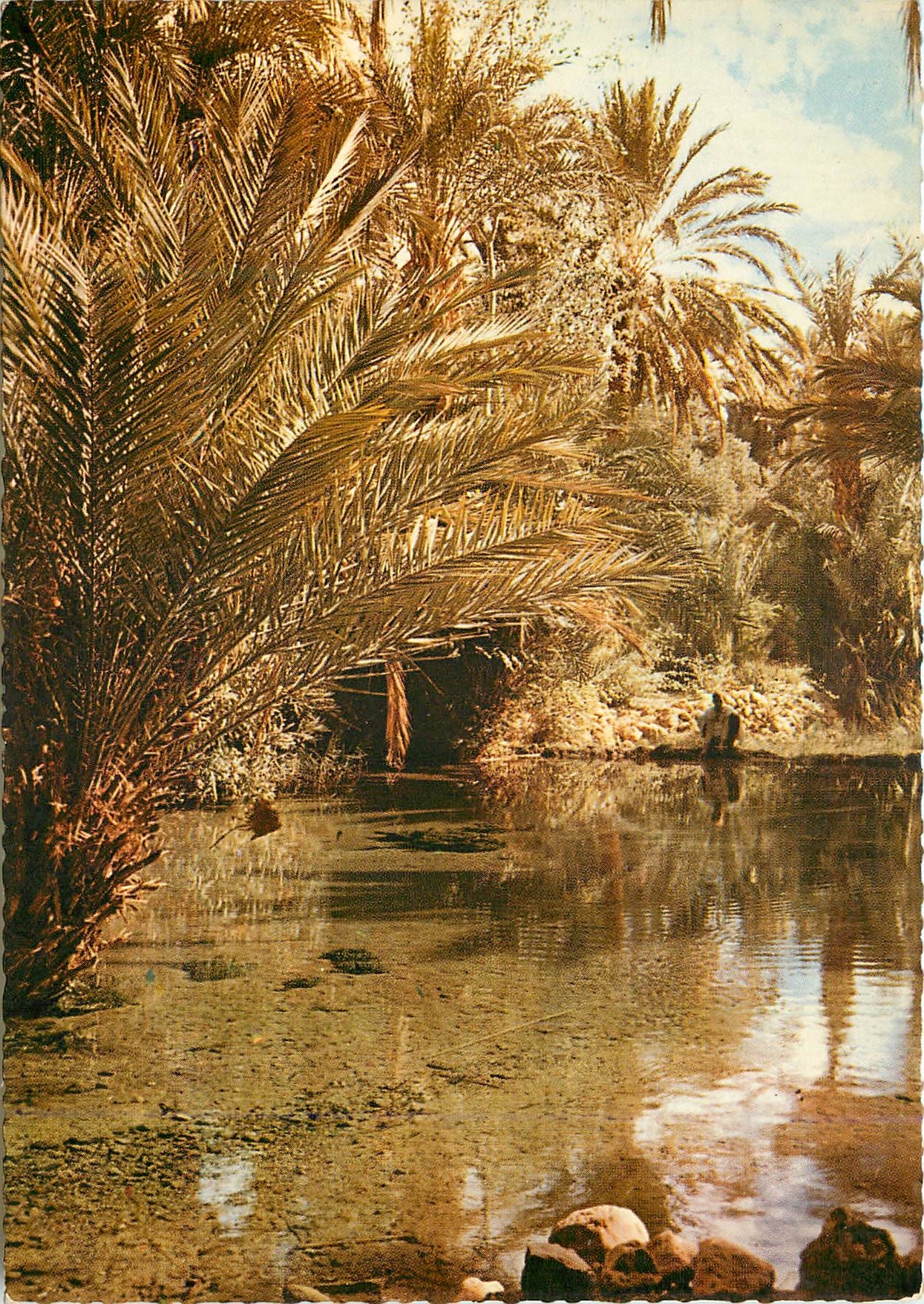CPM Le Maroc Pittoresque Tinerhir 