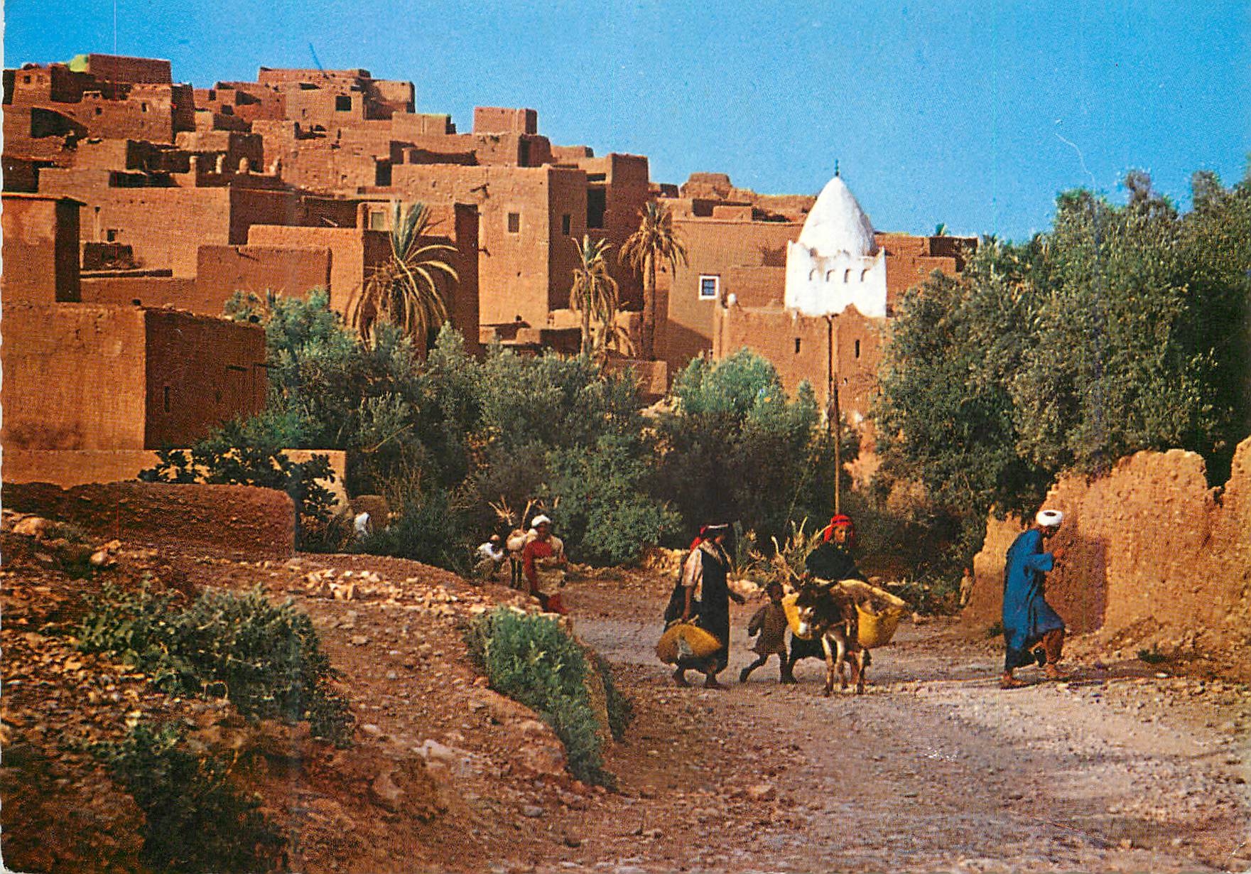CPM Le Maroc Pittoresque Tinerhir Ane Donkey