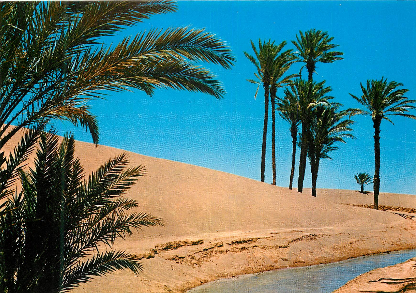 CPM Zagora Amziou Dunes de Sable 