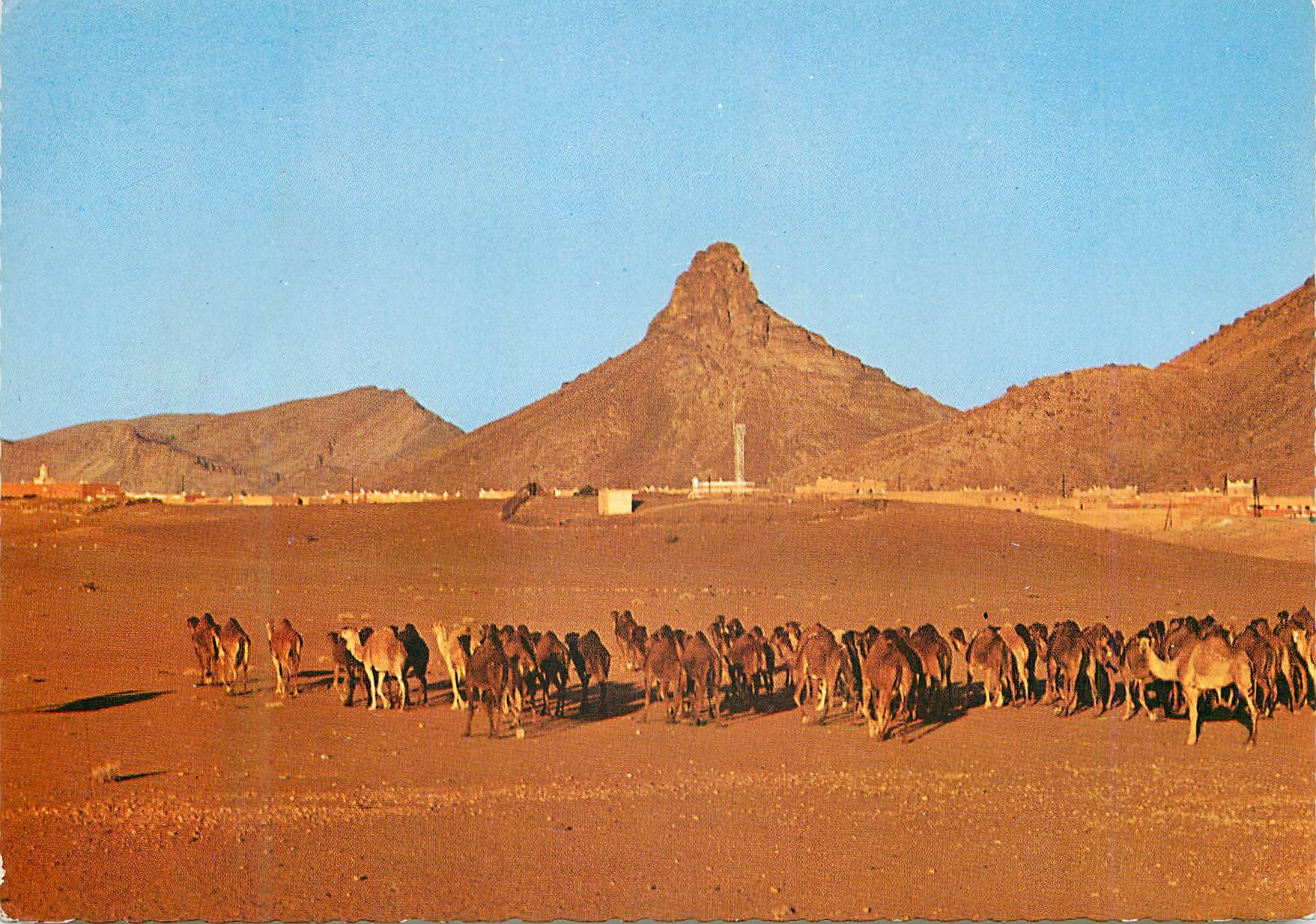 CPM Zagora Caravane au couchant 