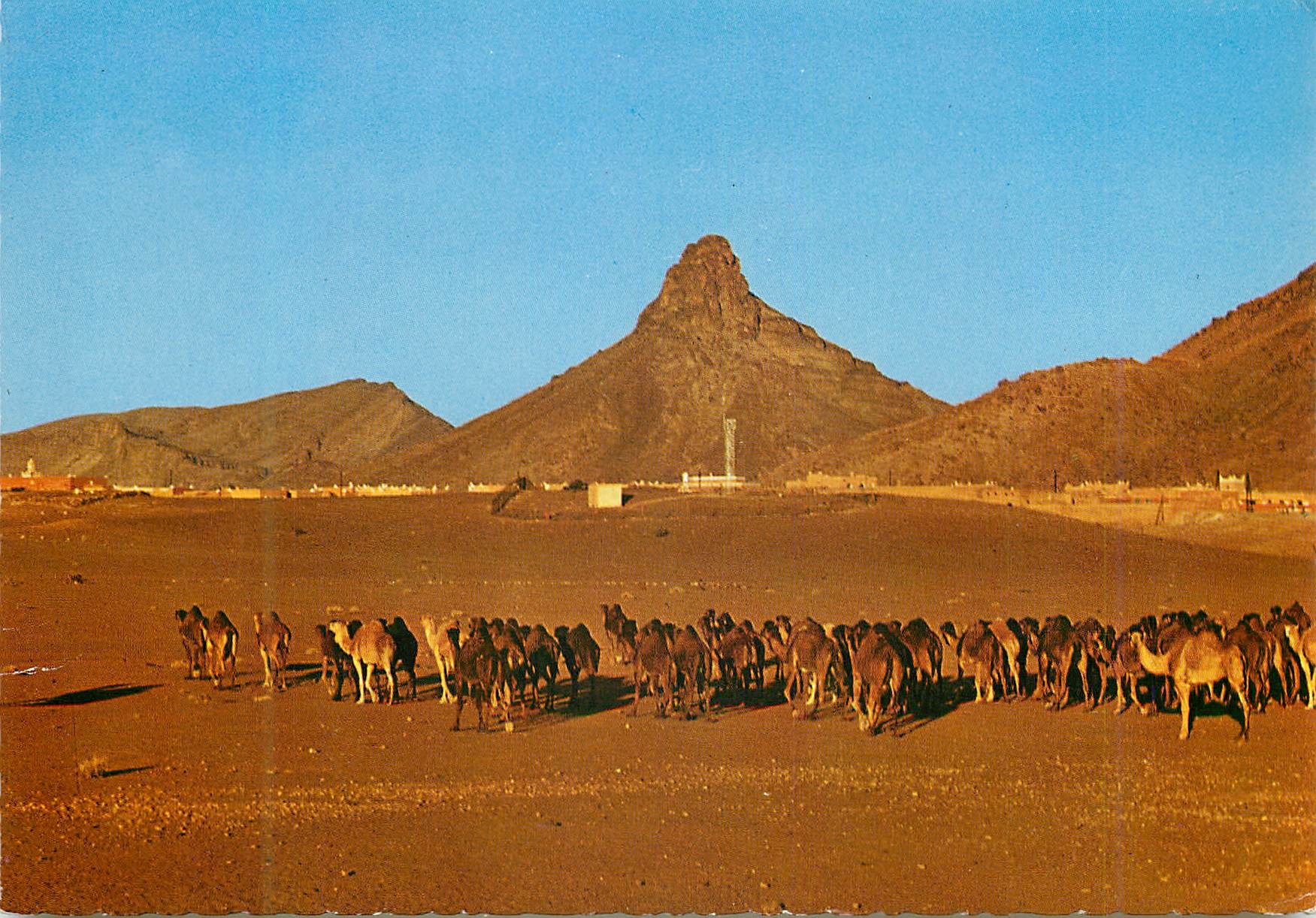 CPM Zagora Caravane au couchant 