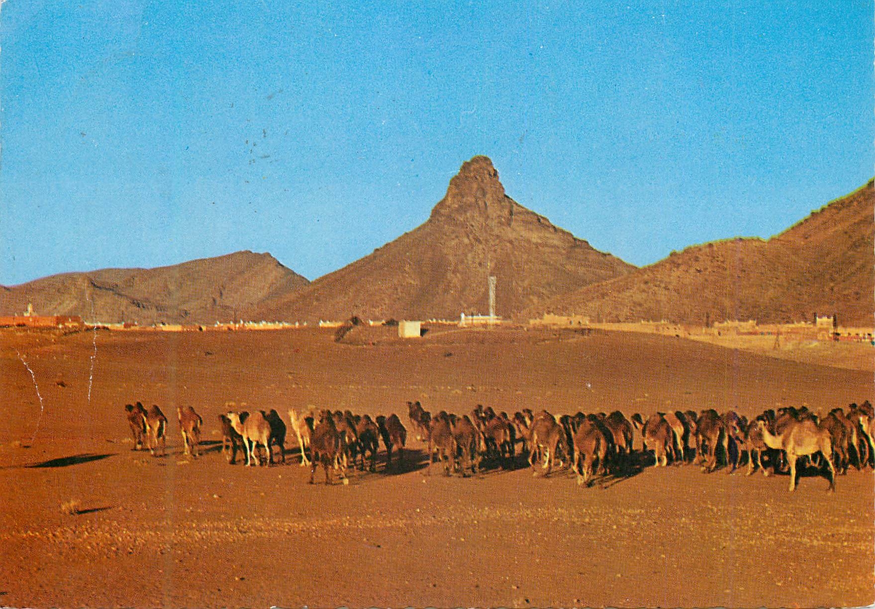 CPM Zagora Caravane au couchant 