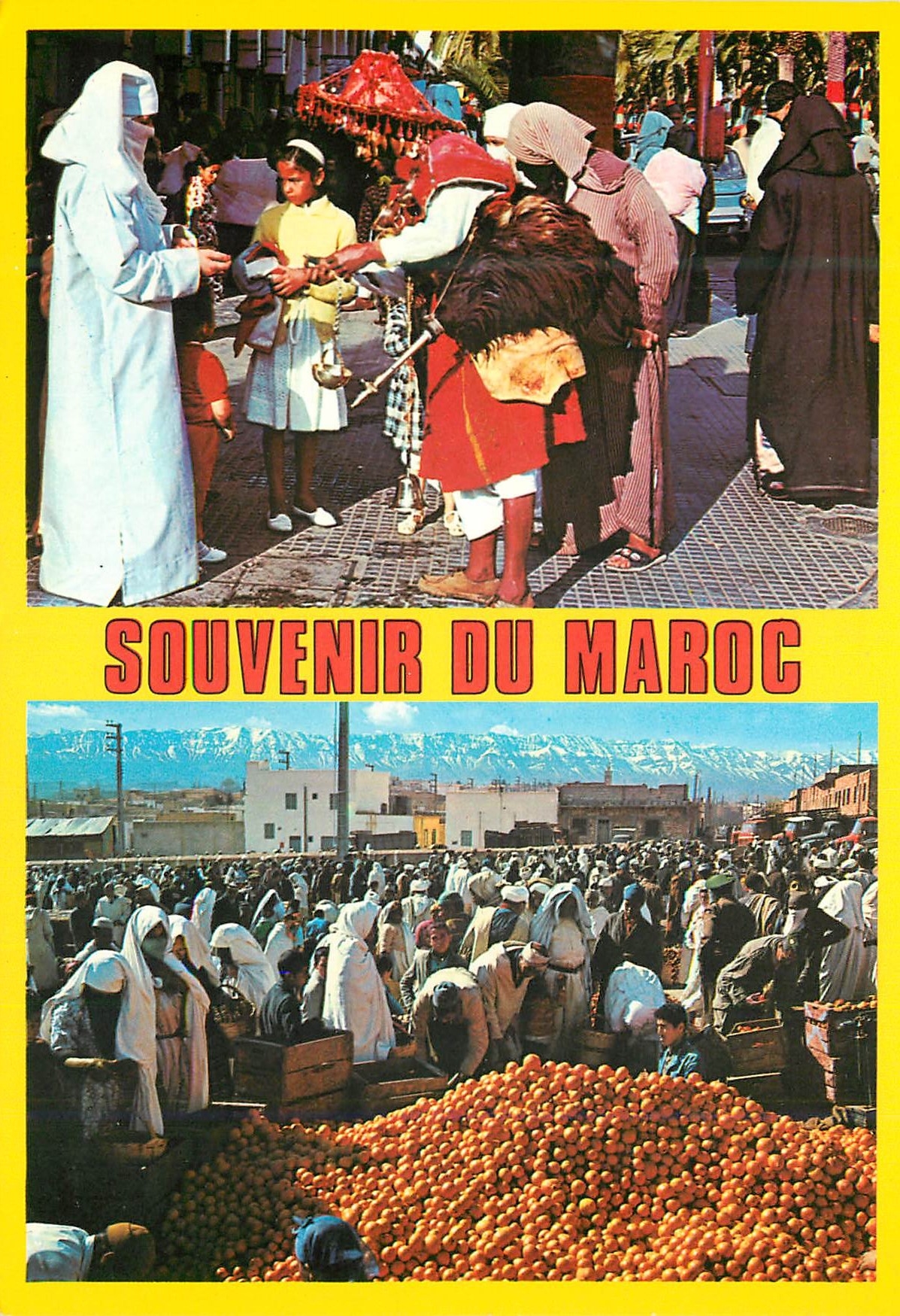 CPM Souvenir du Maroc 