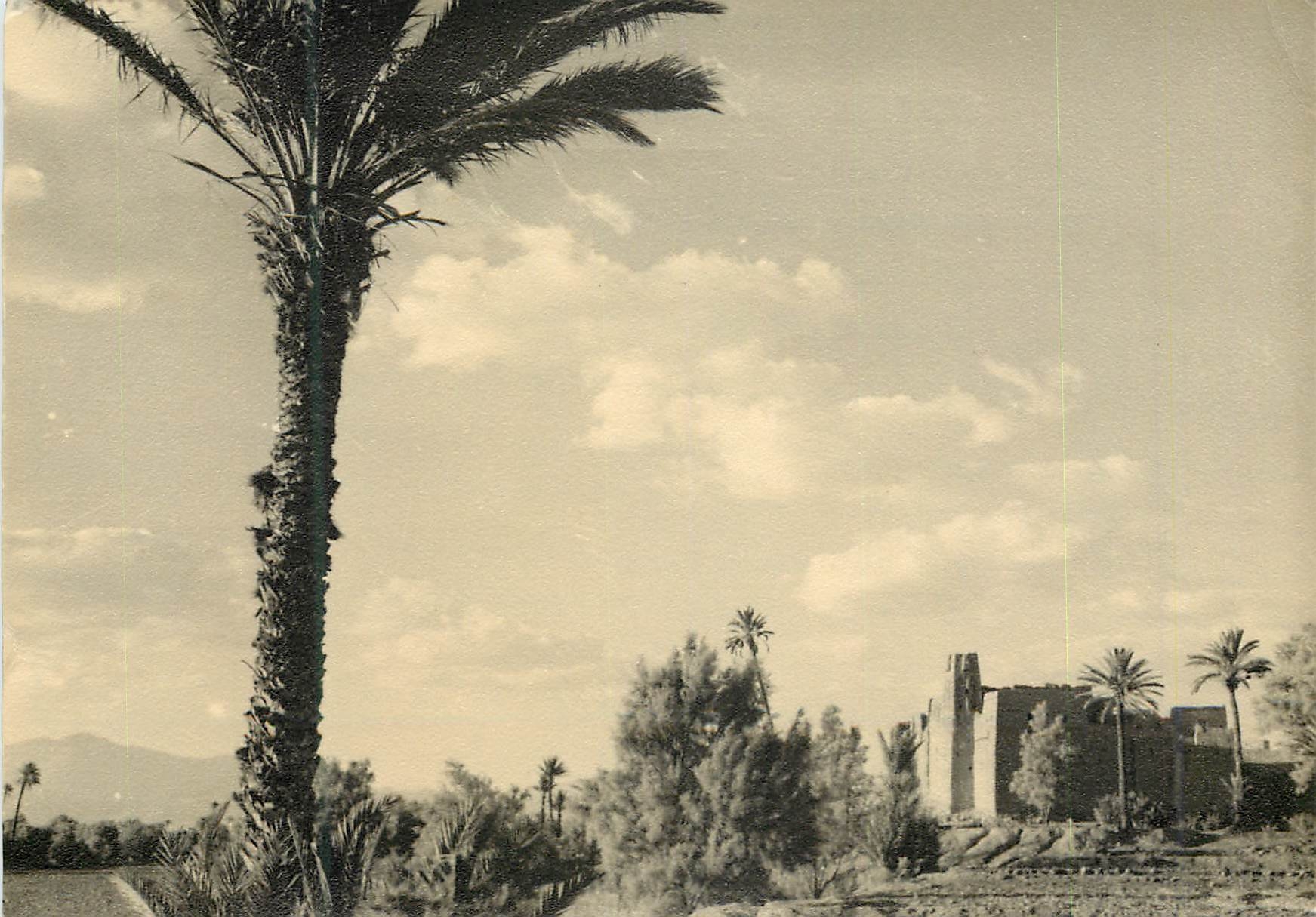 CPM Souvenir du Maroc Pittoresque 