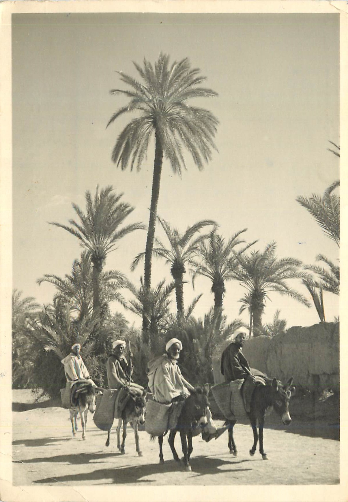 CPM En route par le Souk Ane Donkey
