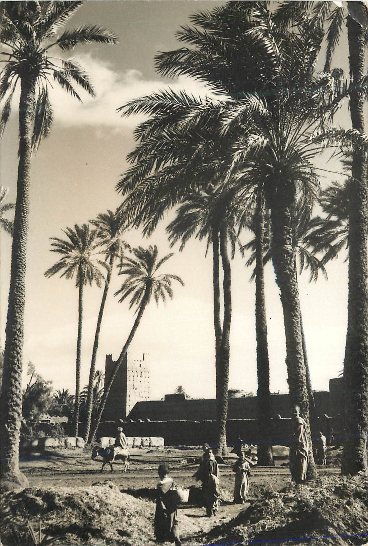CPM Erfoud Kasbah et Palmeraie 